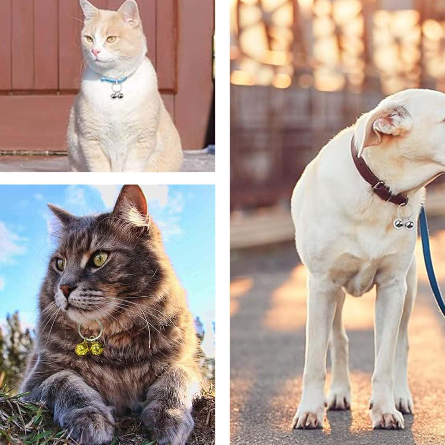 2 Pcs Dog and Cat Bells,Extra Loud Cat Dog Collar Copper Pendant Bells,Collar round Pet Tracker Bell,Alert Dogs Bell Key Rings Pendant Decoration for Dogs and Cats Harness Training(Gold, Silver) image number 5