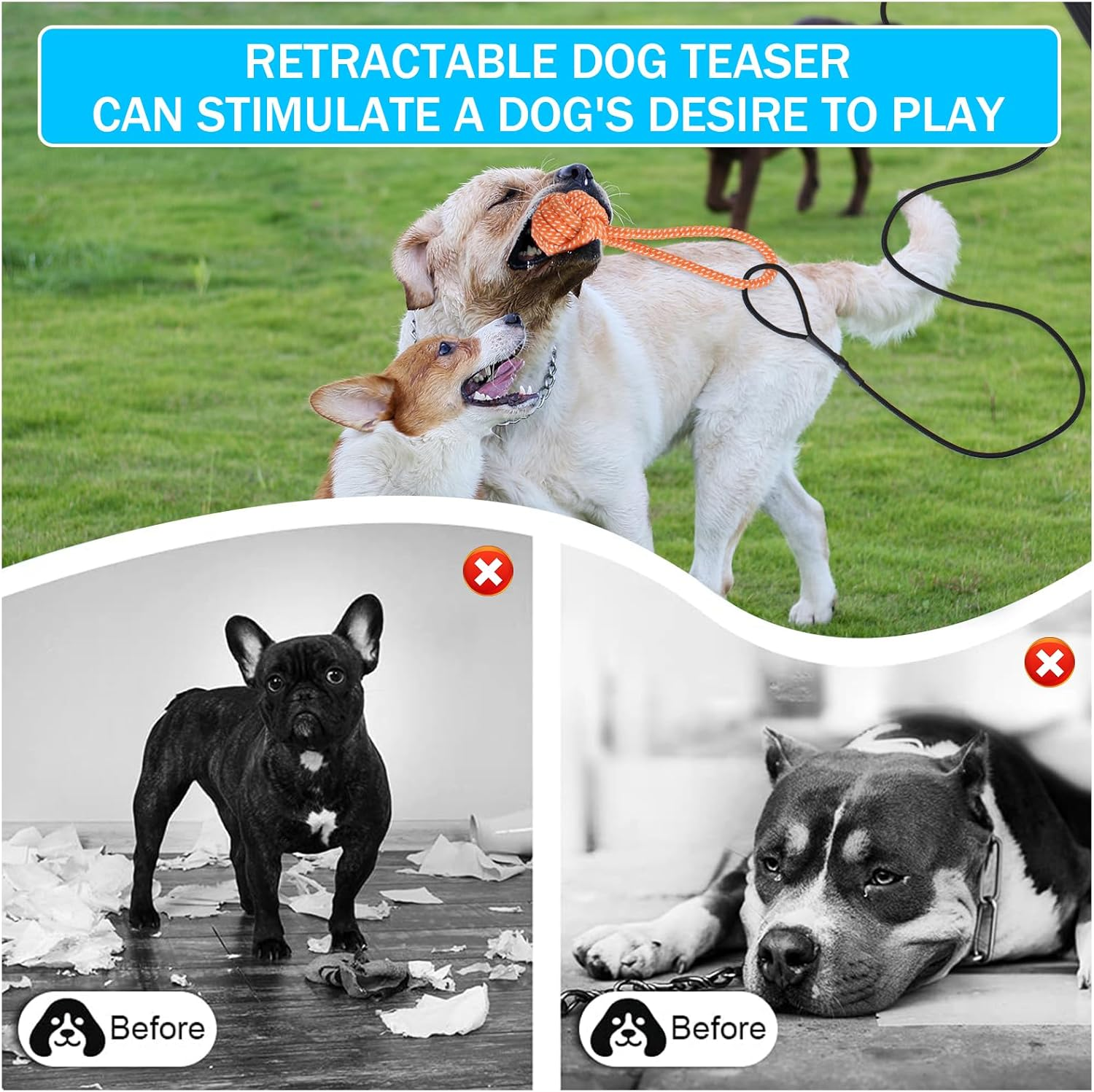 DEARBAG Dog Stimulator Toy, Dog Toy Extendable, Telescopic Rod with Dog Rope Toy, Interactive Dog Toy for Large Dogs, Medium Dogs and Small Dogs