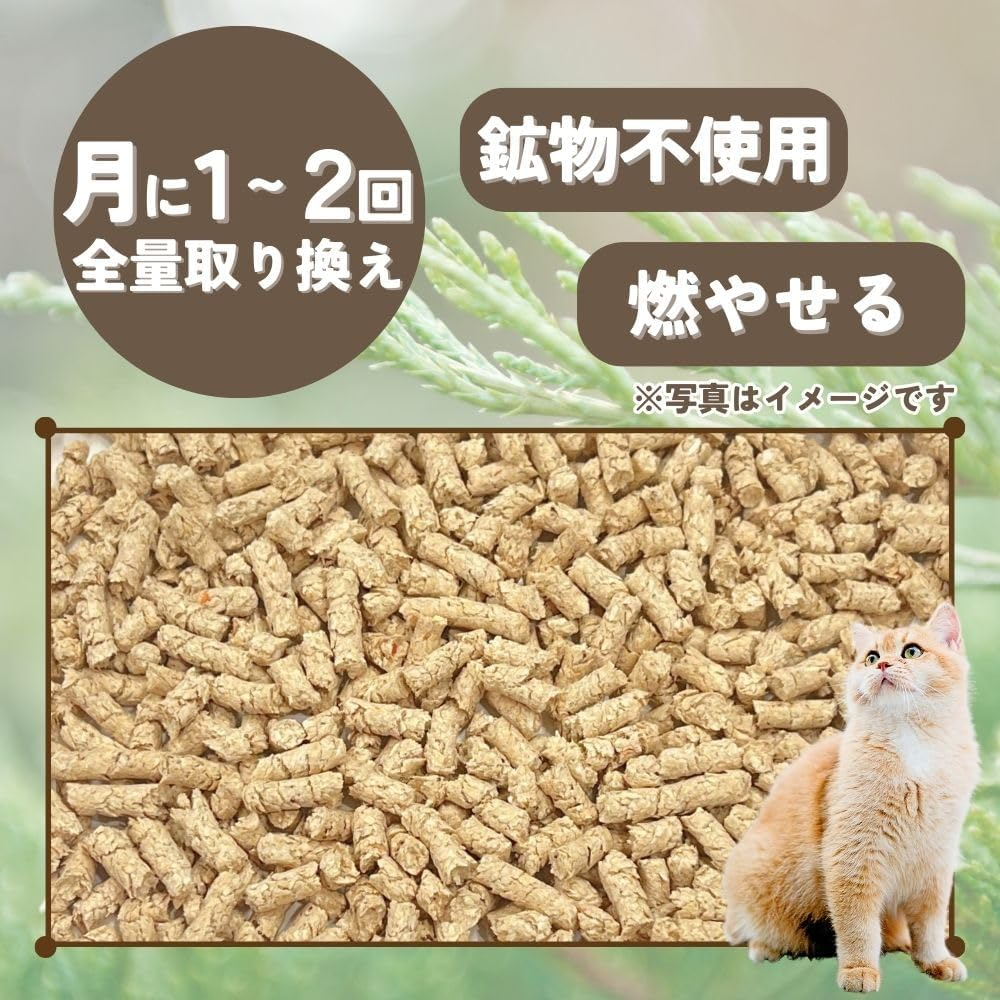 Earth Pet Cat Sand Paradise Forest Incense Double X 6 Pieces image number 1