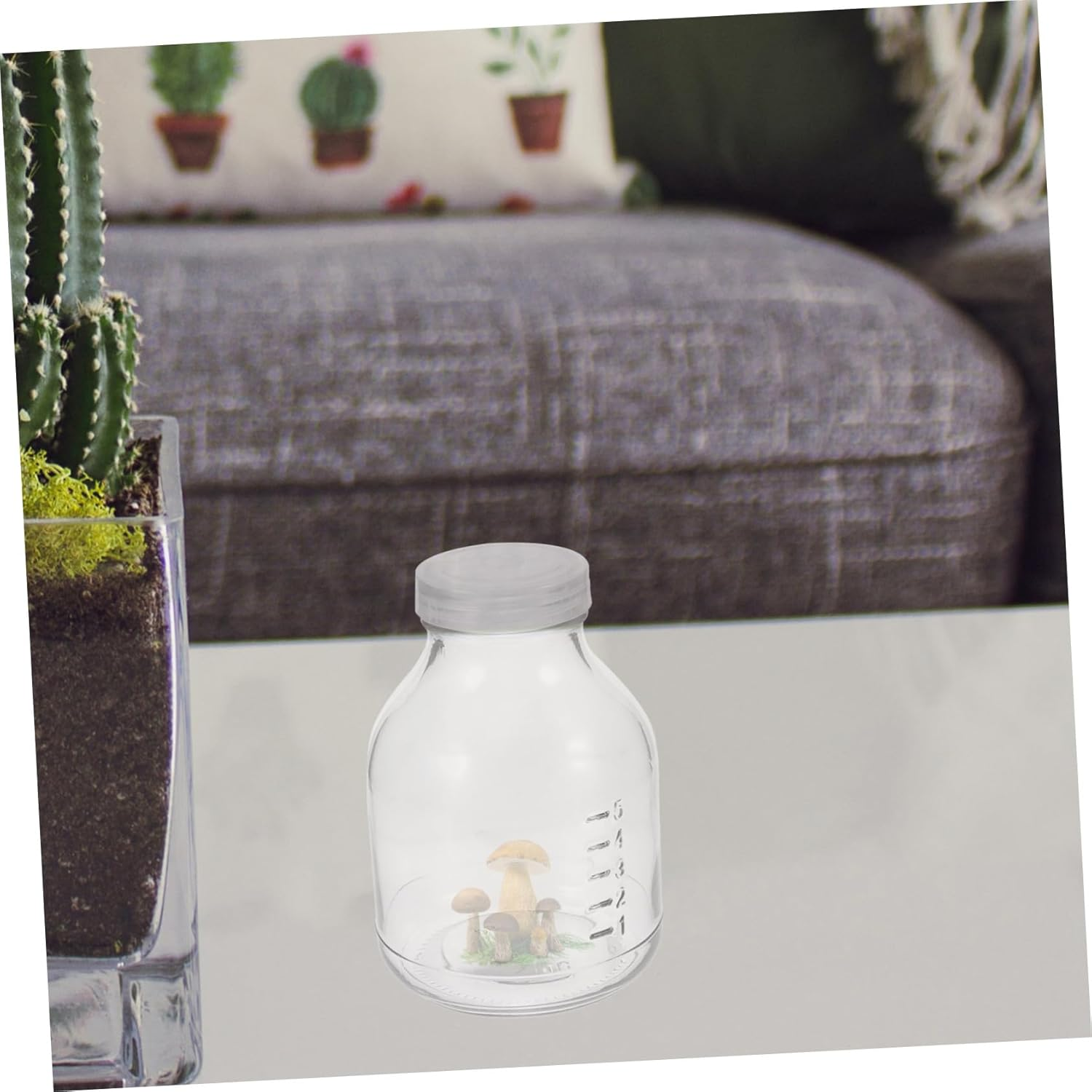 COOPHYA 3Pcs Mushroom Growing Kit Plant Jars Glass Grow Jars Lid Plant Nursery Bottles for Gardening image number 1