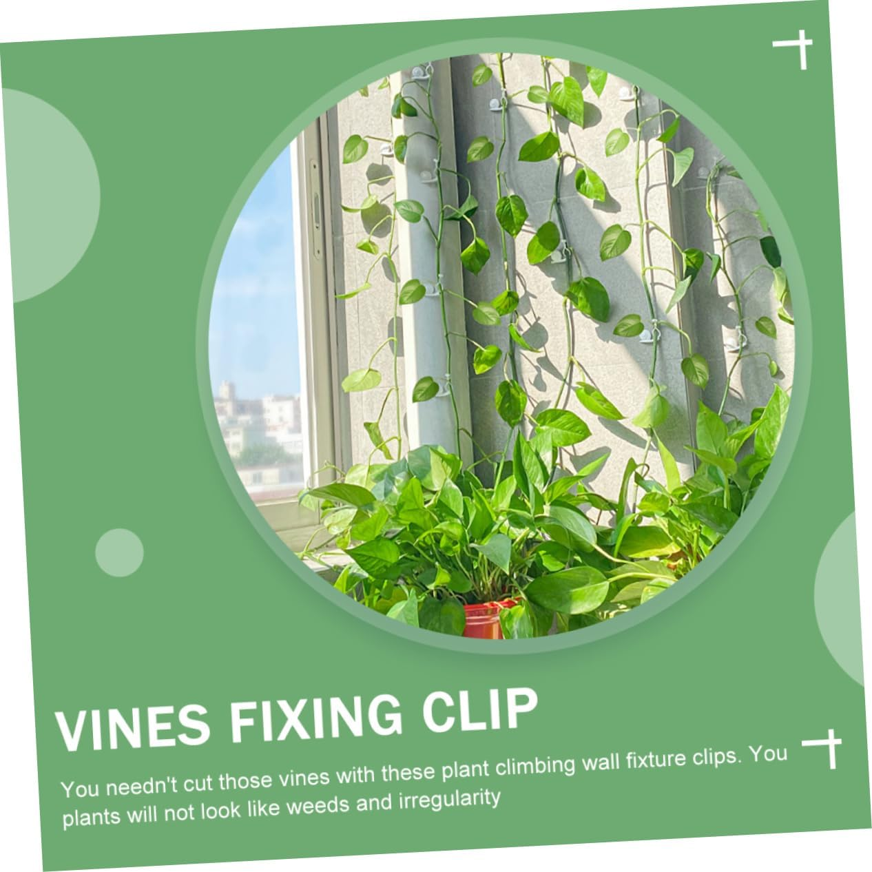 Yardenfun 10Pcs Plant Climbing Wall Fixing Clips Self-Adhesive Vines Holders Indoor Garden Plant Fixture Accessories for Wall-Mounted Vine Support