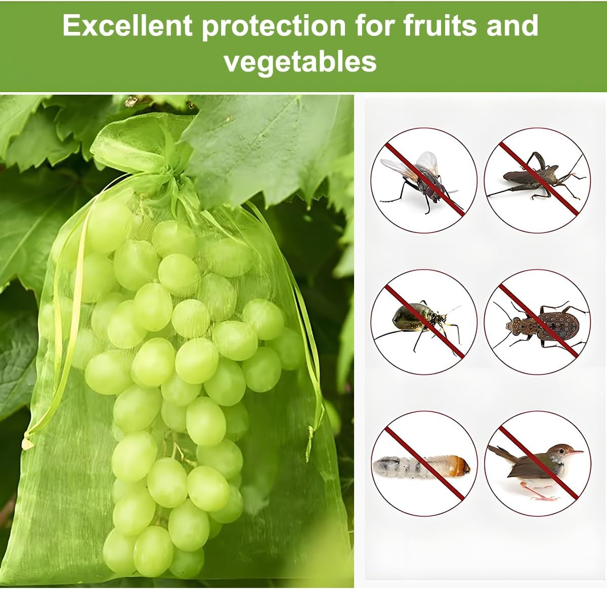 Fruit Protection Bags, 15&times;20Cm，50Pcs, Green，Fruit Cover Net Bags with Drawstring for Grape Apple Mango Peach Protect from Insect Birds Squirrels image number 2