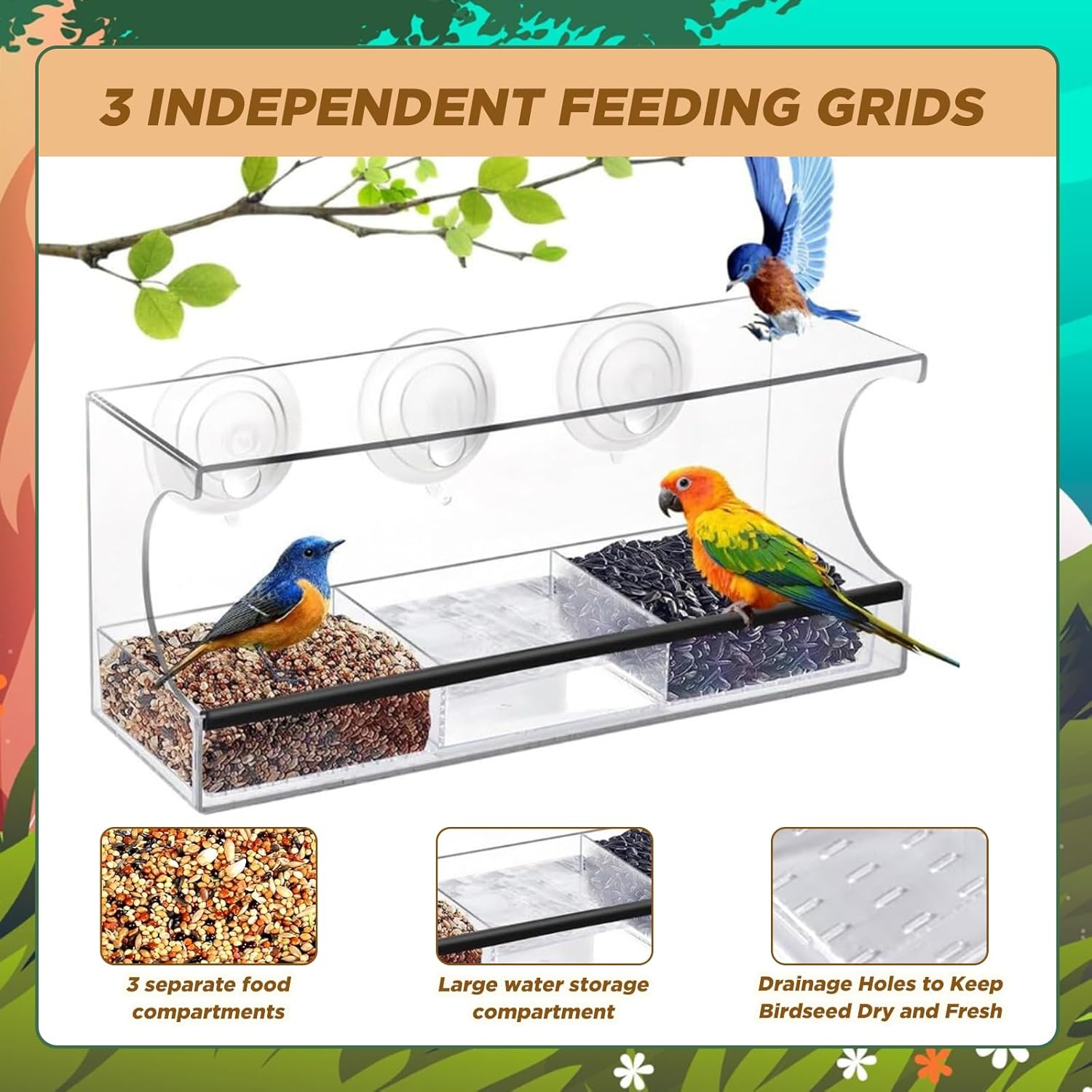 SUSOO Window Bird Feeder for Outdoors with Interactive Swing Perch Toy, Acrylic Clear Feeder with 3 Large Capacity Detachable Seed & Water Tray and Suction Cups,For Watching Wild Birds in Garden &Yard image number 3