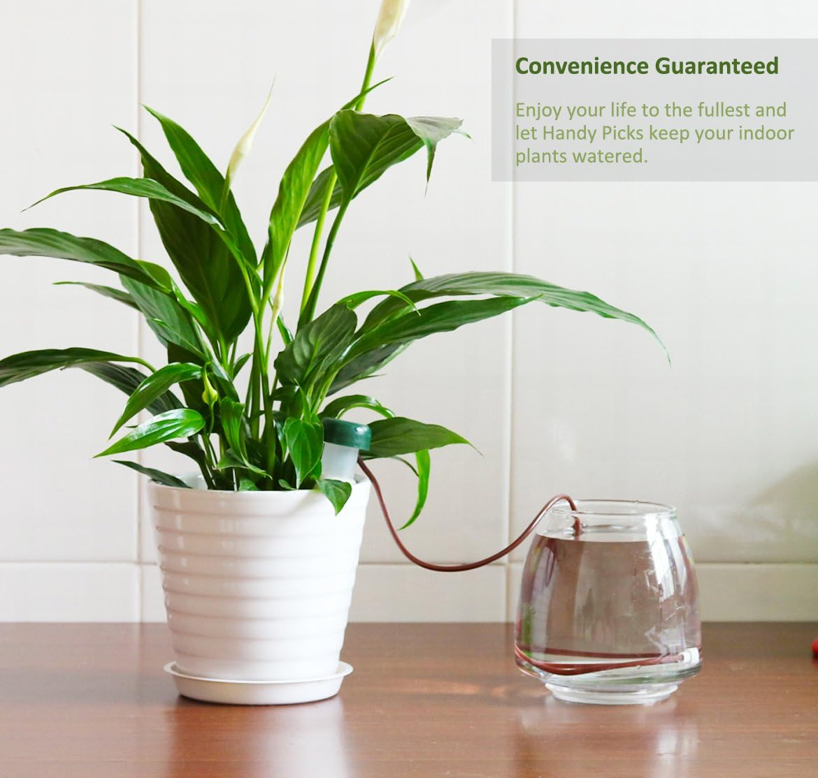 Watering Stakes, Indoor Plant Watering System, Automatic Drip Irrigation Devices for Indoor Plants during Holiday Automatic and Scientific Drip Irrigation Device, Handy Picks (Pack of 10) image number 3