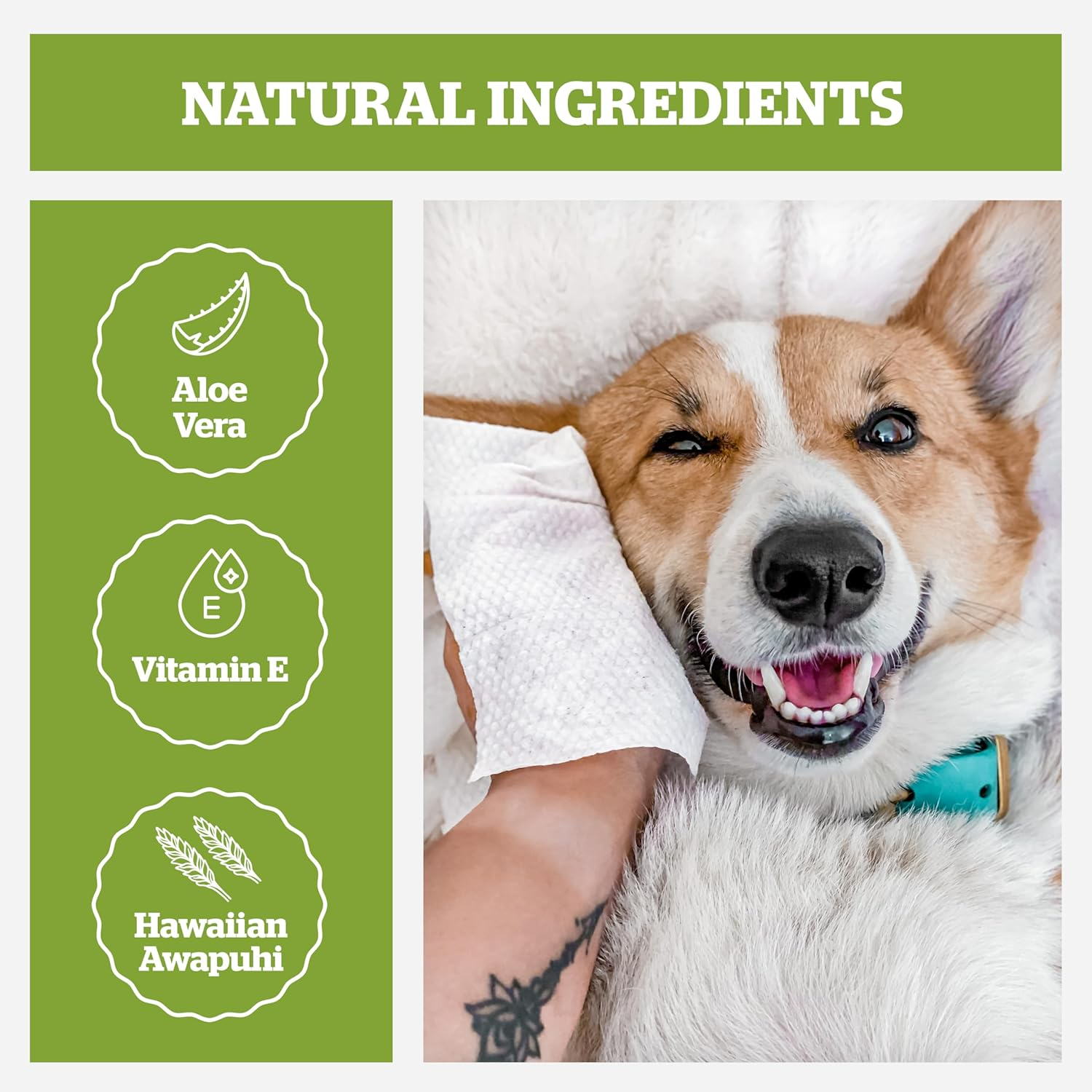 Pogi'S Dog Grooming Wipes - 100 Dog Wipes for Cleaning and Deodorising - Plant-Based, Hypoallergenic Pet Wipes for Dogs, Puppy Wipes - Quick Bath Dog Wipes for Paws, Butt, & Body - Fragrance Free image number 4