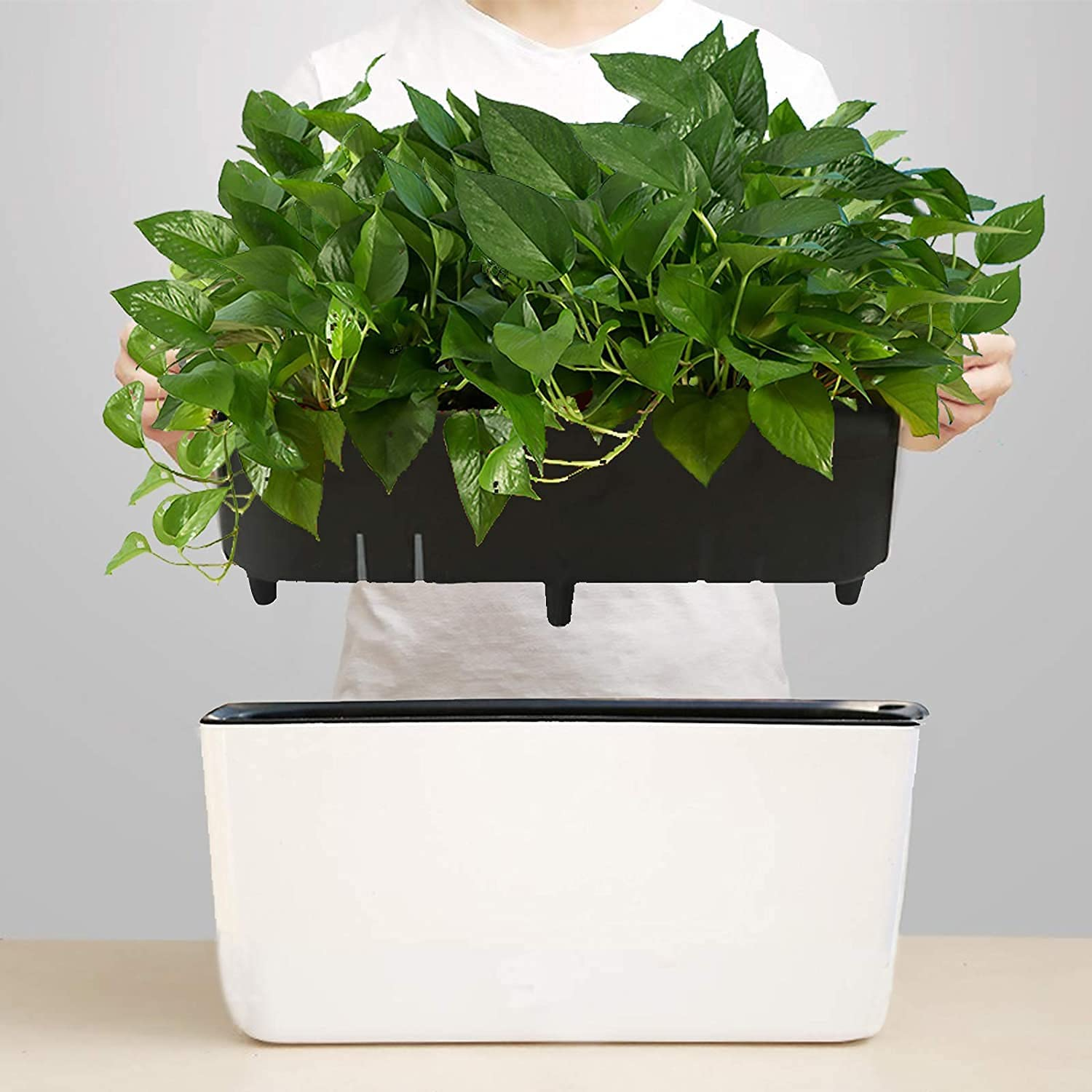 40 Cm Rectangle Self Watering Planter with Water Level Indicator, Window Gardening Box,Decorative Self Watering Pots for All House Plants Flowers Herbs, Modern image number 3