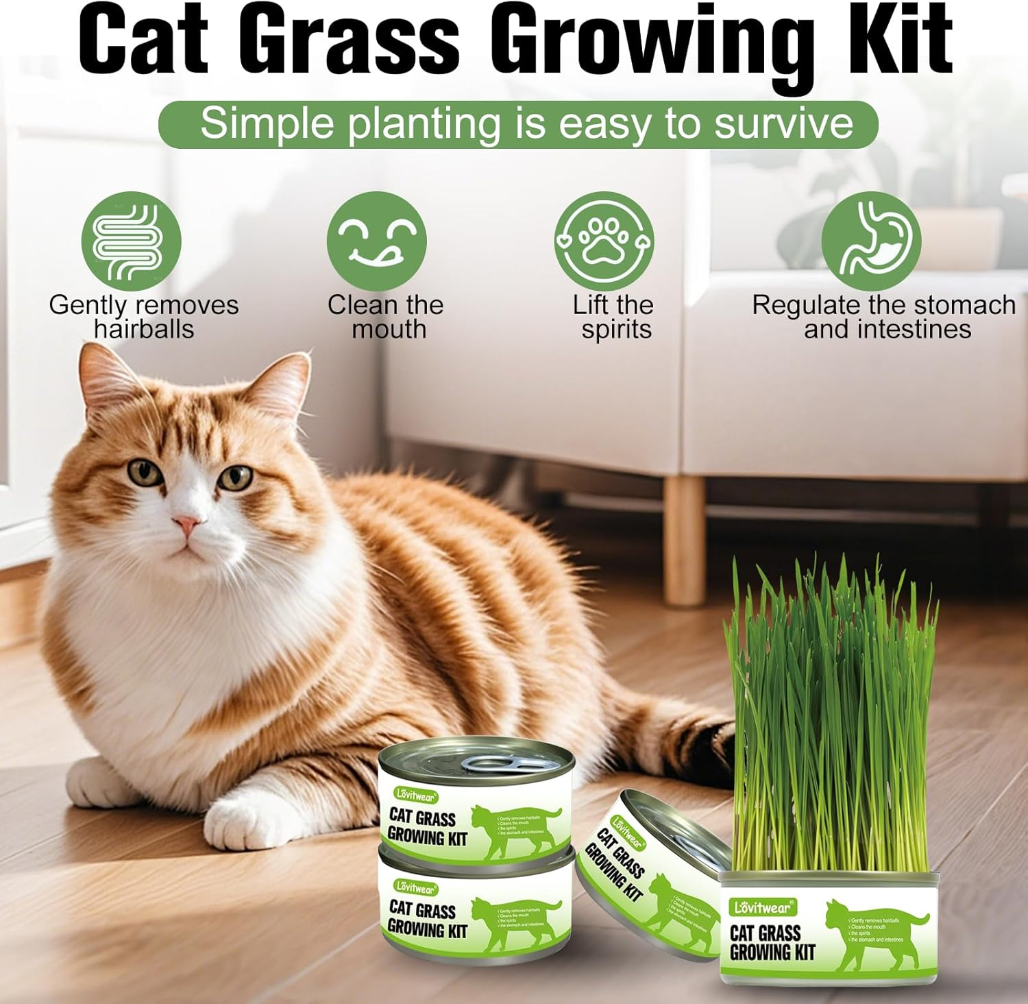 Premium Cat Grass Growing Kit - 4-Pack, Easy Planting for a Natural Treat for Cats and Other Pets image number 2