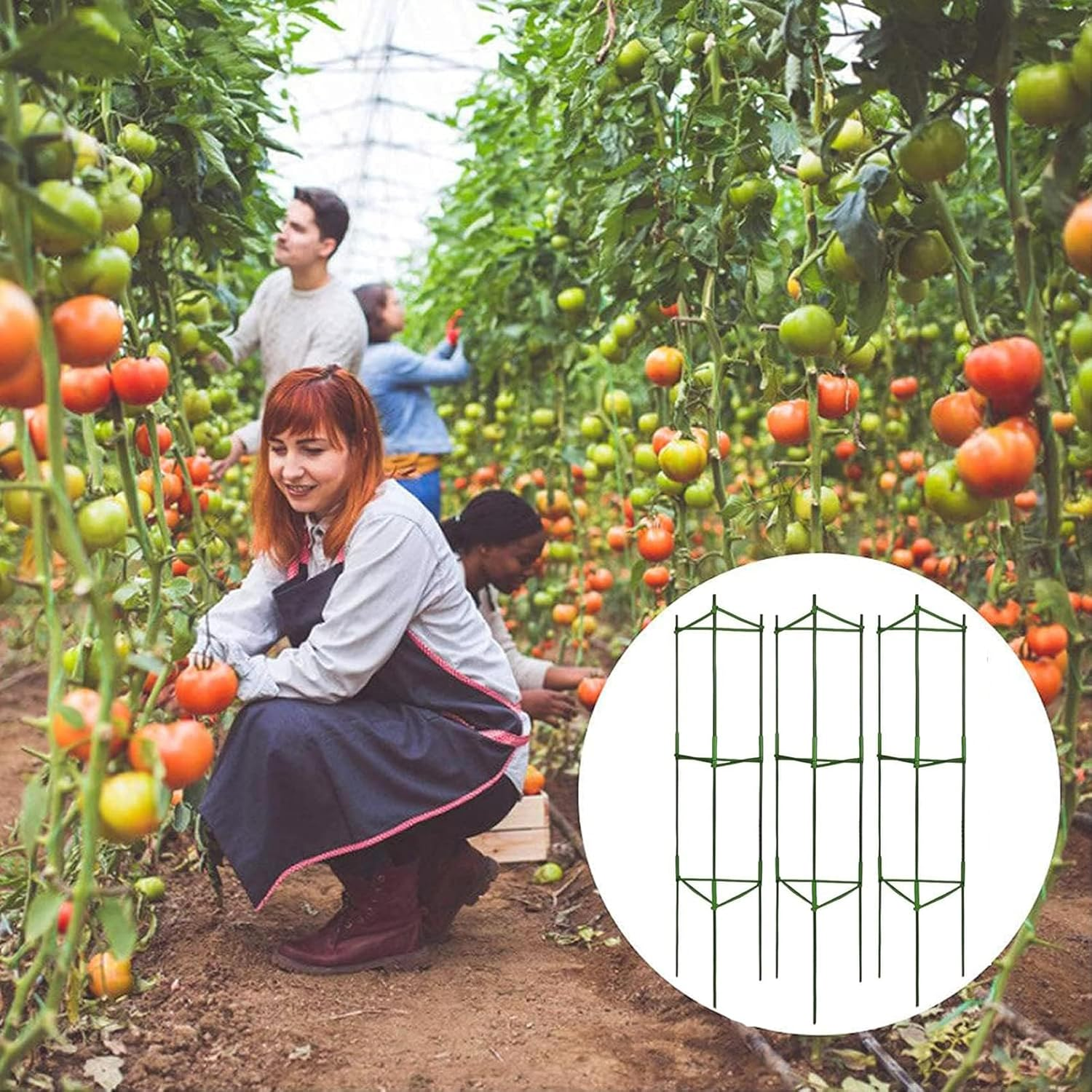 3Pack Tomato Cage for Garden, Plant Support Garden Stakes, Potted Trellis for Climbing Vegetables Plants Flowers, 32 * 32 * 120Cm Green image number 4