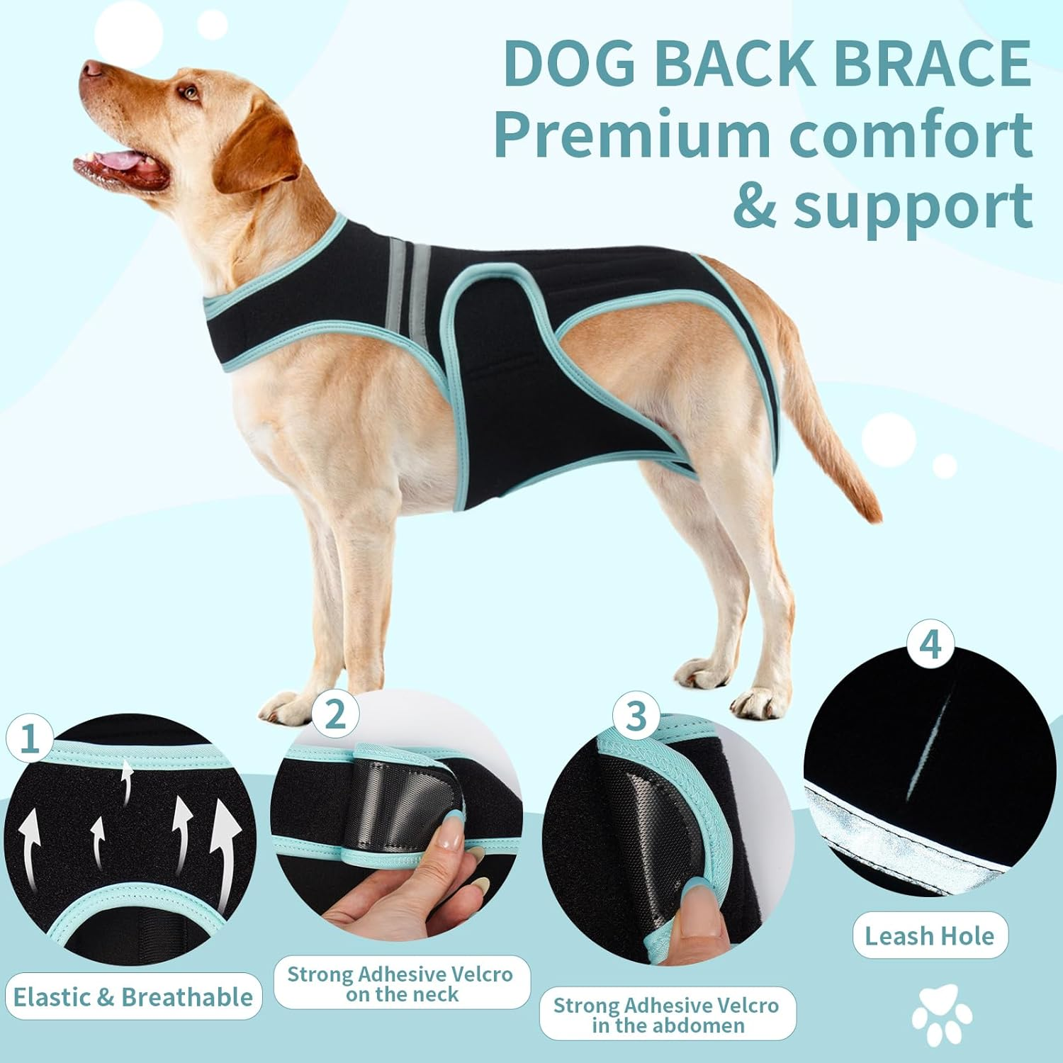 PUMYPOREITY Back Bandage for Dogs, Arthritis for Relieving Back Pain, Schian Surgical Recovery and Rehabilitation (XL) image number 1
