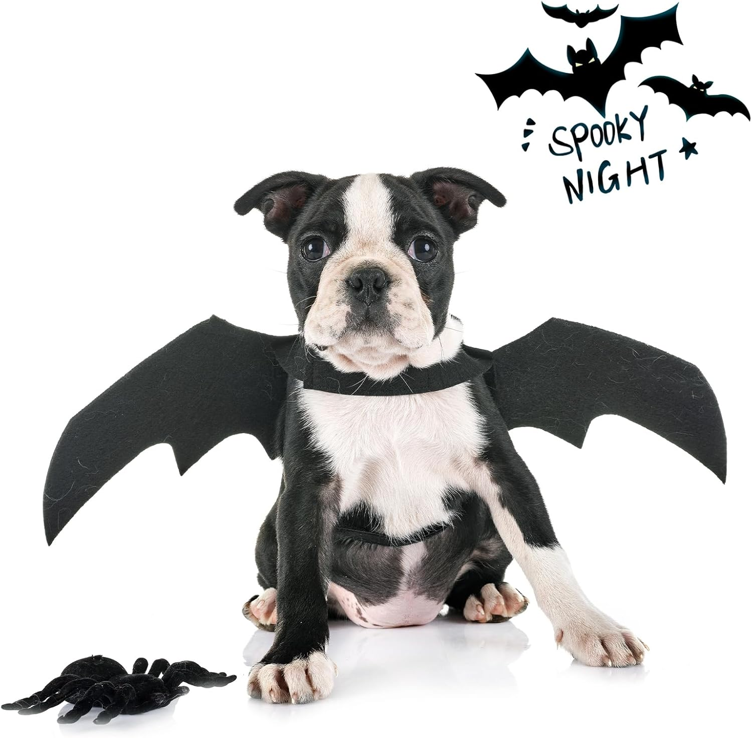 Cat Halloween Costume Dog Bat Wings, Halloween Cat Costume Pet, Includes Bat Wings Dog and Pumpkin Bells, for Pet Halloween Party, Cosplay for Pets (M)