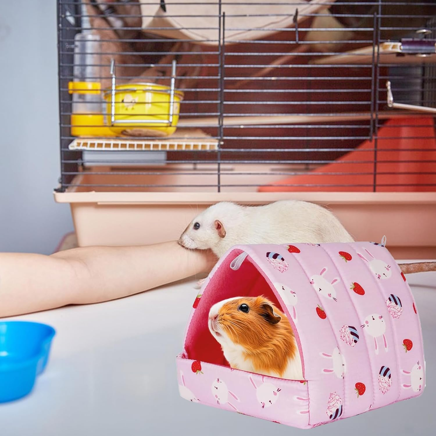 Pack of 2 Guinea Pig Bed Cuddly Cave Washable, Small Animal Winter House, Winter Cosy Small Animal Beds, Guinea Pig Bed, for Small Animals, Hamster, Rat, Rodent, Squirrel, 11 Cm X 9 Cm X 8 Cm image number 6