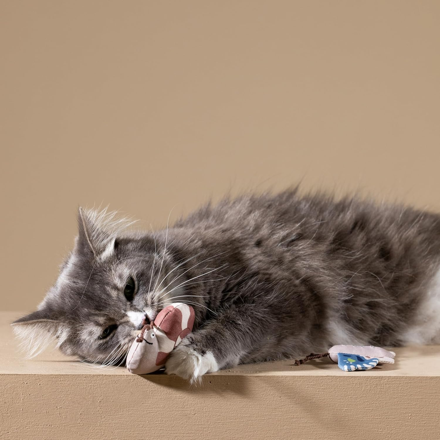 Fringe Studio Set Fang Mich, Wenn Du Kannst | Environmentally Friendly | Cat image number 2