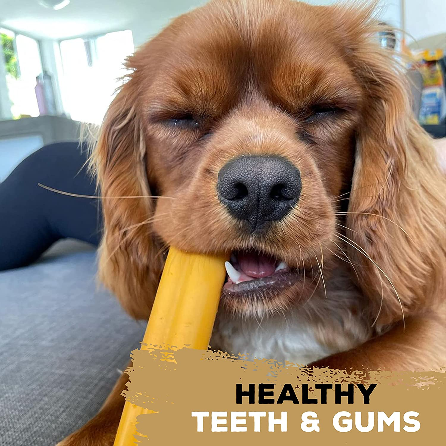 Tasty Bone Nylon Peanut Butter Dog Chew Toy Bone Small image number 1