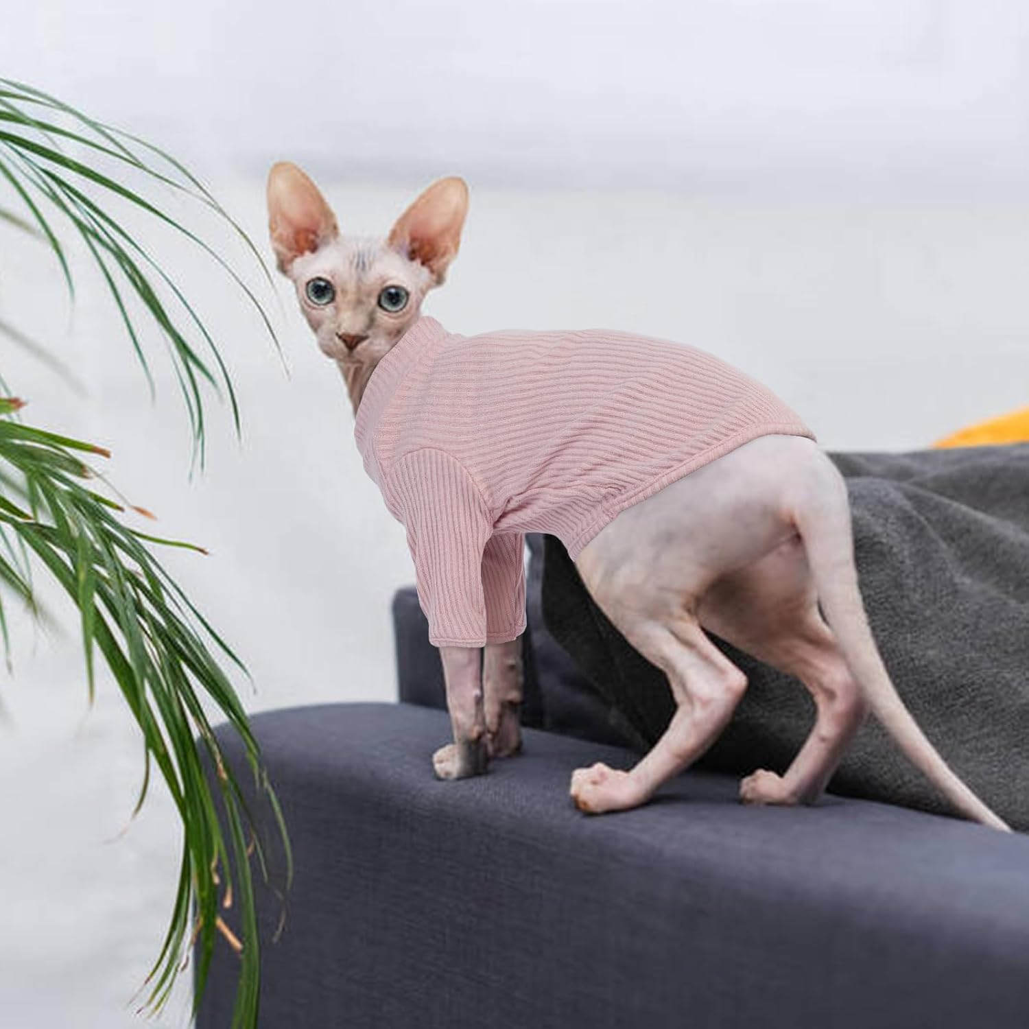 Hjyokuso Cat Clothes, Sphynx Cat Clothing, Cat Jumper Pink, Cat Jumpers for Cats Only, Kitten Clothes Jumper, Breathable Cat Pyjamas, Warm Cat Coat, Cat Sweater, Cat Vest for Sphynx,Cornish Rex - L