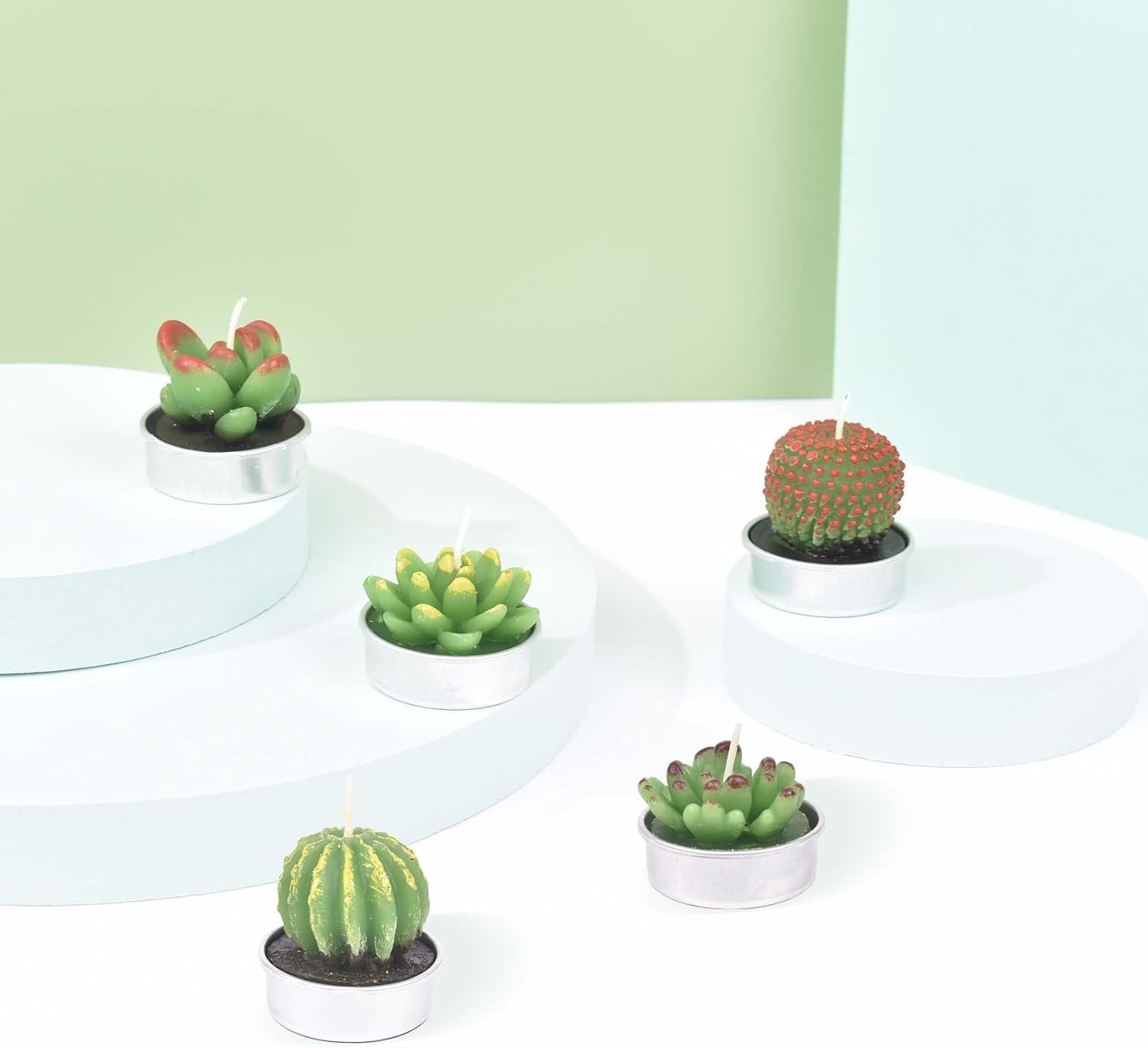 Succulents Candle Set, Small Succulents Aesthetic Candles, Fun Candles Cute Gifts for Women, Plant Lovers, Cactus Blossom Candle for Birthday Garden Theme Party Decorations image number 6