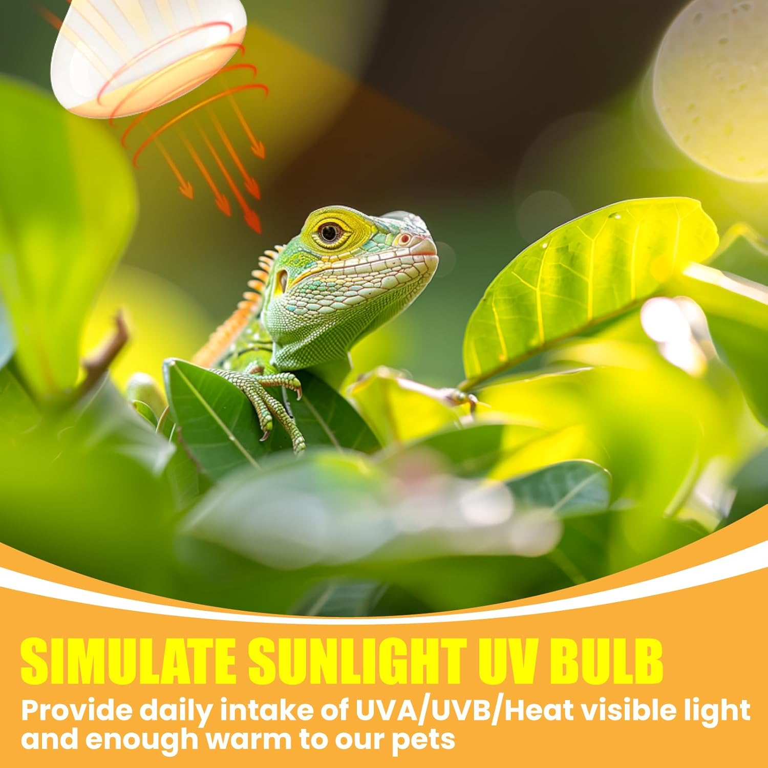 100W E27 Reptile Heat Lamp, UVA UVB Bulb for Amphibian Basking - Tortoise, Bearded Dragon, Lizard, Gecko, Puppy image number 2