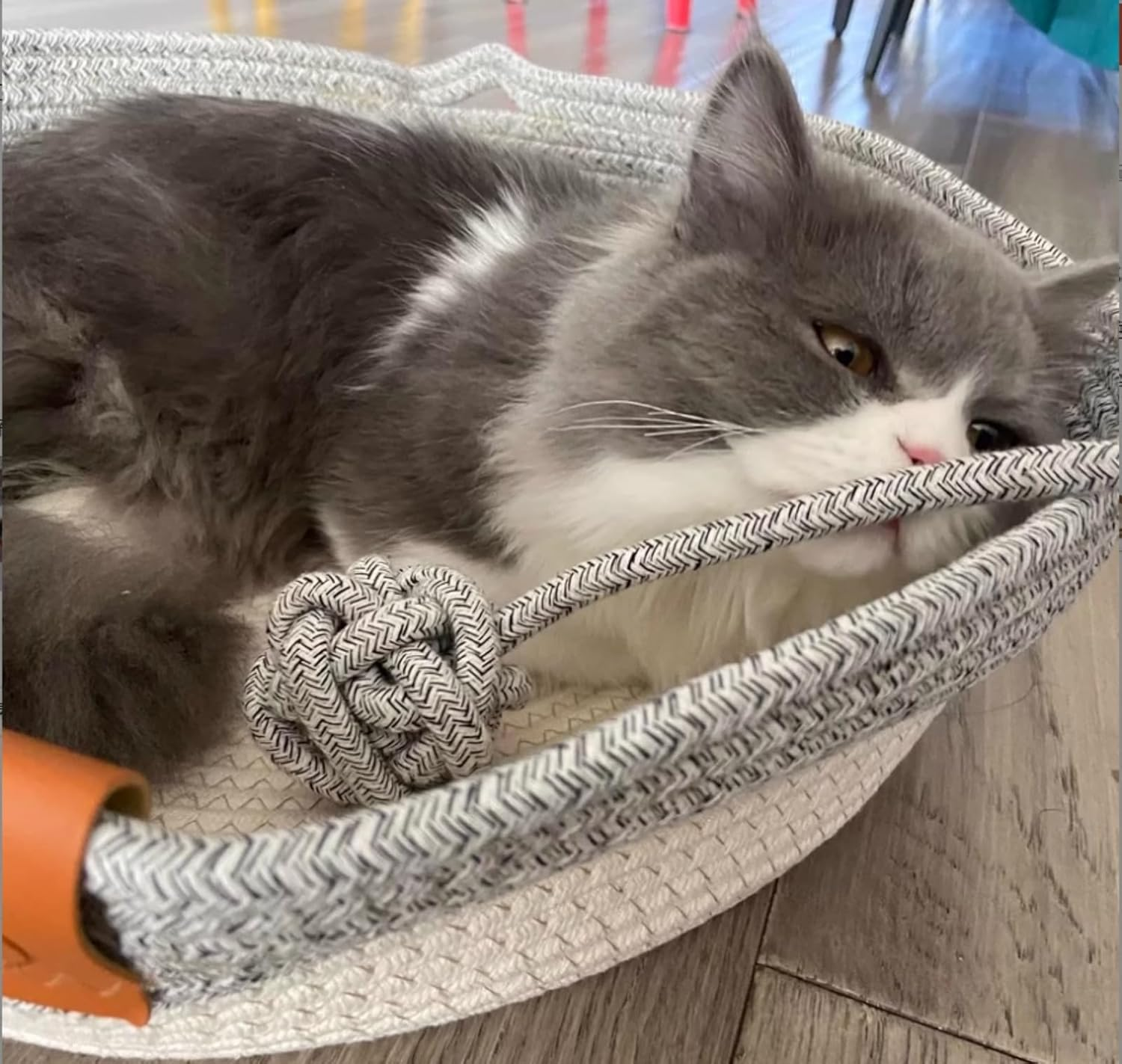 Handwoven Cotton Rope Cat Basket Breathable & Easy to Clean, Foldable Scratchable Cat Bed with a Playing Ball for Kittens (Grey with Cushion-M) - Grey With Cushion-M image number 5