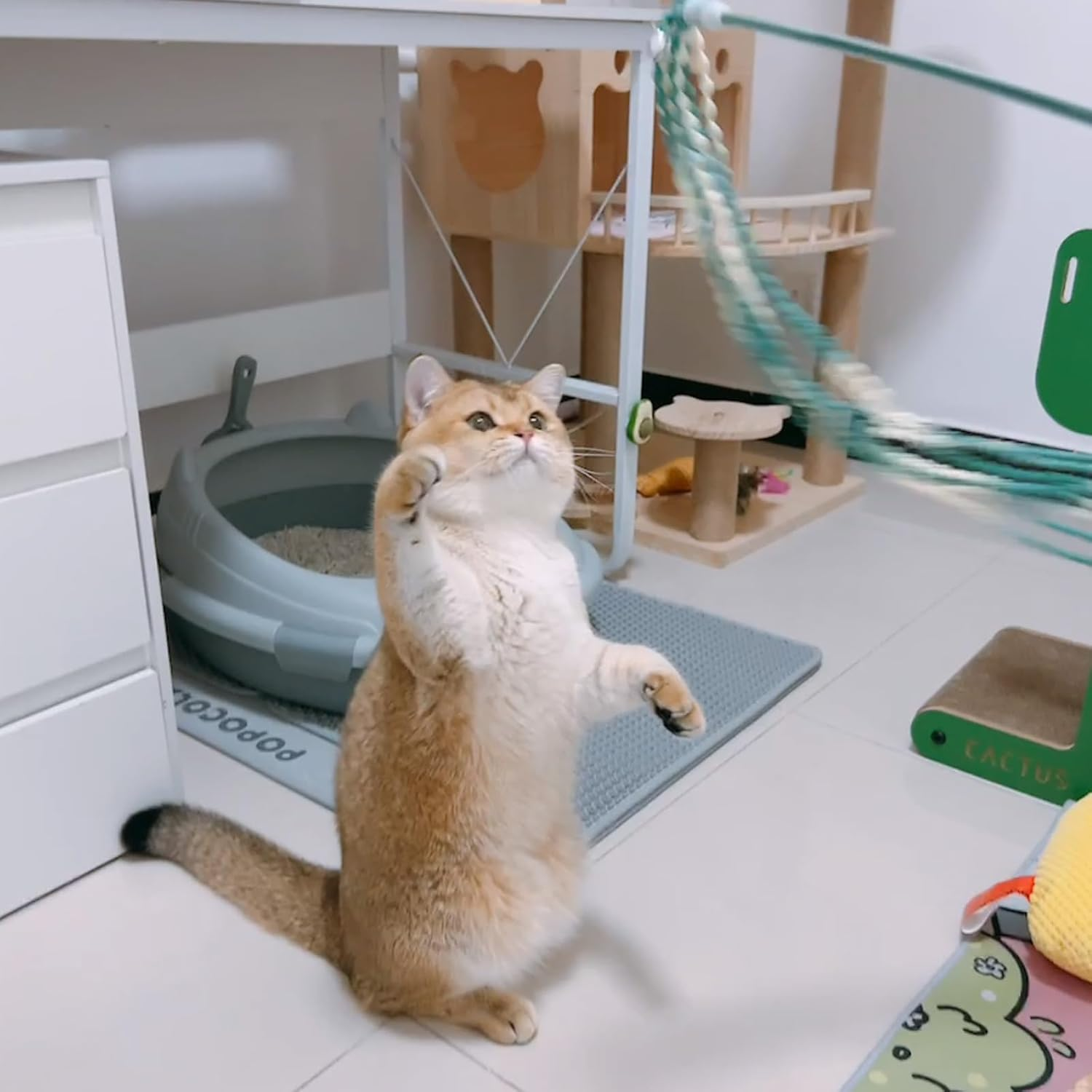 IUHKBH Cat Teaser Toys, 4 PCS Plush Srtip Cat Wands Interactive Cat Teasing Stick Vibrant Cat Teaser Wands with Bell for Cat Kitten Having Fun Exerciser Playing image number 5