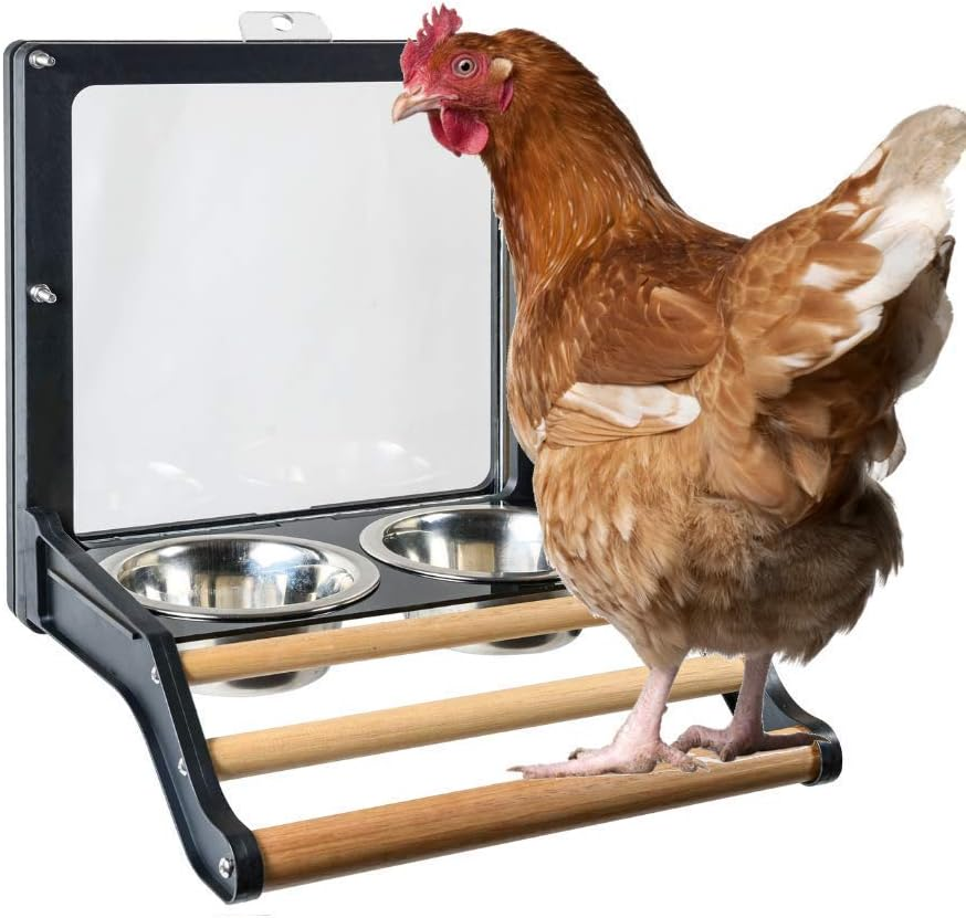 Royal Rooster Stainless Steel Bird Bowls for Cage | Bird Water Dispenser for Cage | 2 Pack Metal Bird Bowls for Parakeet Cockatiel Canary Parrot Budgie Finch Aviary | Bird Water & Seed Dish Feeder image number 4