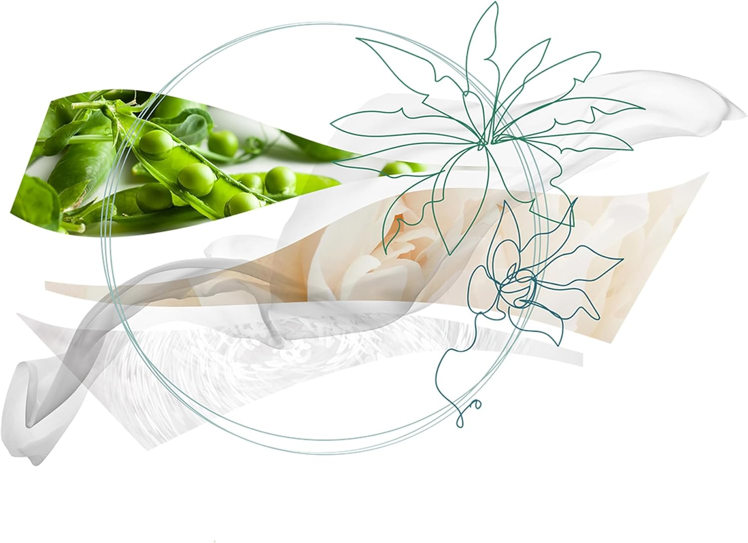 Salvatore Ferragamo Unisex Giungle Di Seta Eau De Parfum 50 Ml