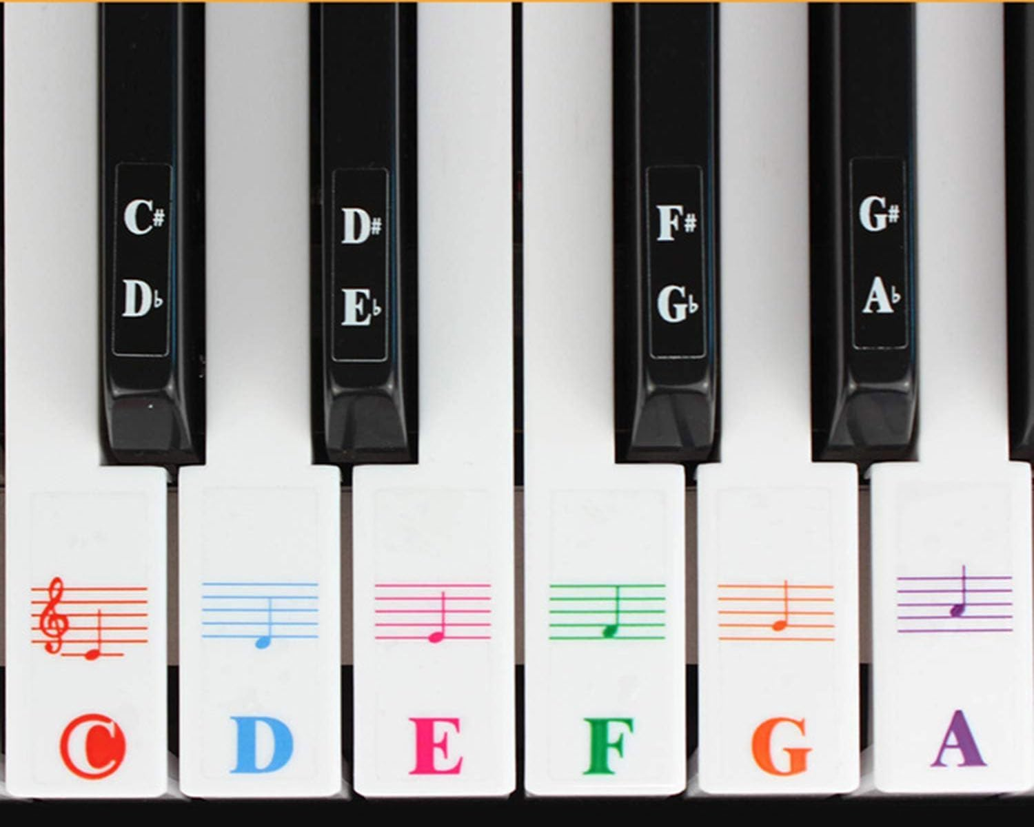 Piano Keyboard Sticker Key Sticker Transparent Music Note Guide Sticker Removable Piano Keyboard Letter Labels for Beginner Learning 36/44/49/61/76/88 Keys image number 4