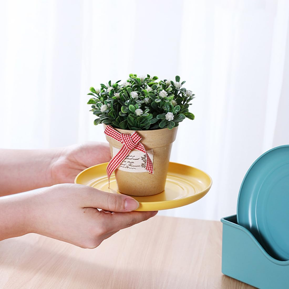 Weddhuis Pack of 4 Flat Cat Bowls, Feeding Bowls, Cat Food Bowls, Cat Bowls, Cat Bowls, Cat Bowls, Cat Bowls, Cat Bowl for Kittens and Short-Legged Cats image number 4