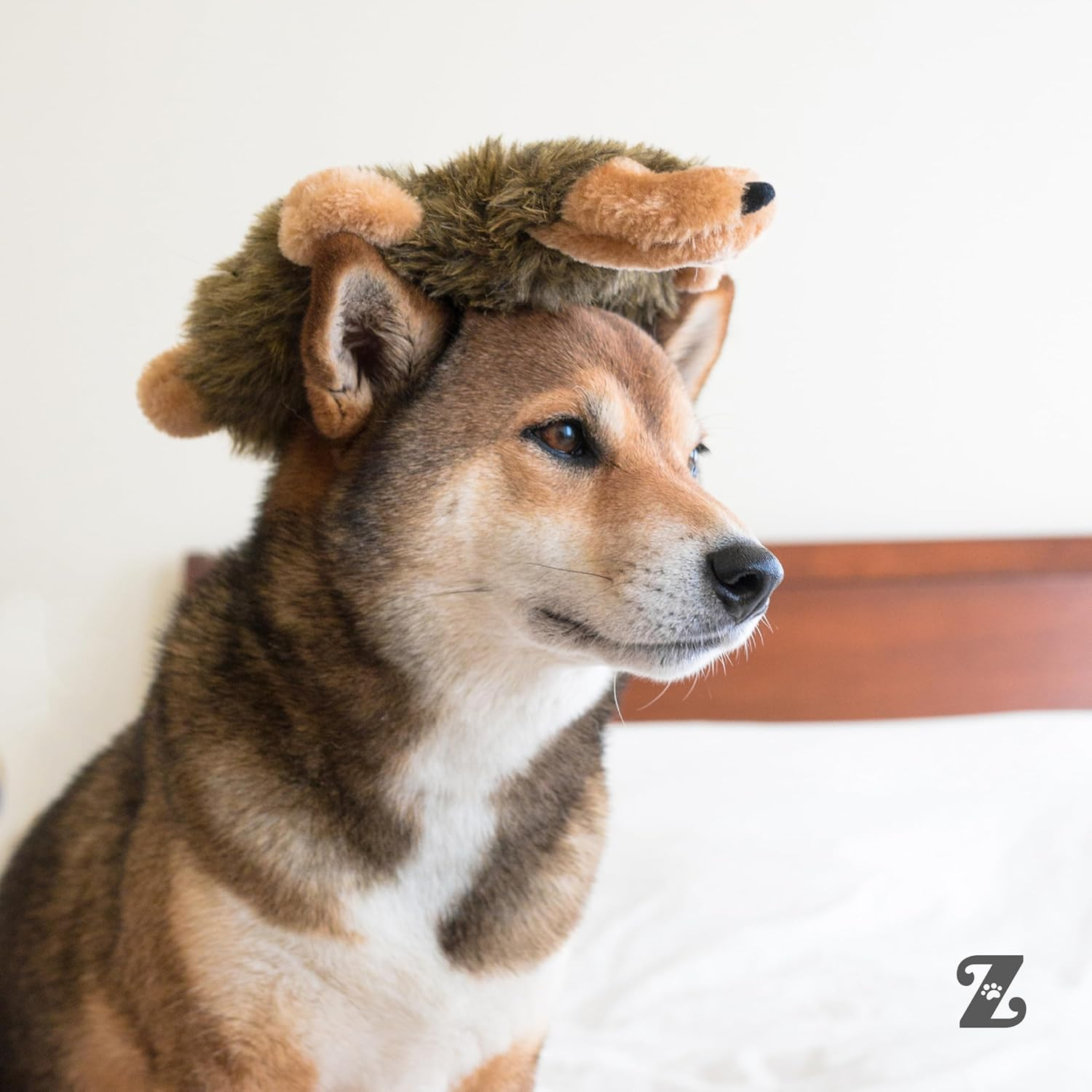 Zippypaws - Loopy - No Stuffing Squeaky Plush Dog Toy - for Small and Medium Dogs - Fox