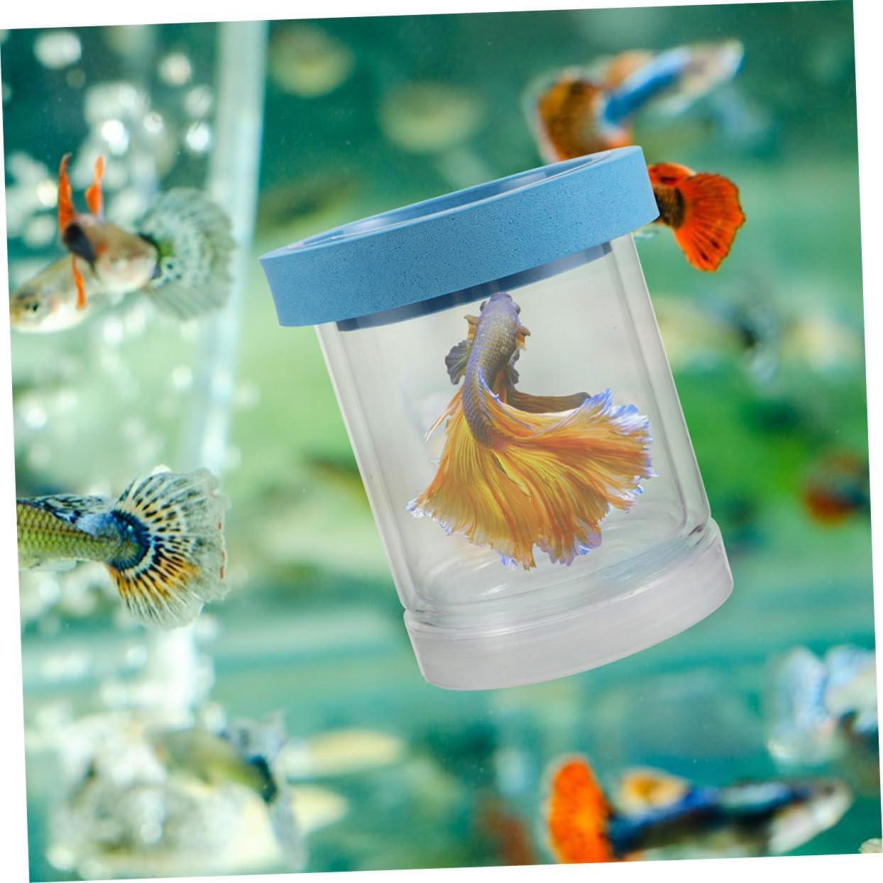 Toyvian Floating Fish Breeding Isolation Box Transparent Hatchery Incubator for Aquarium Nursery Tank Divider Suitable for Small Fish Betta Shrimp Aquatic Pets image number 1