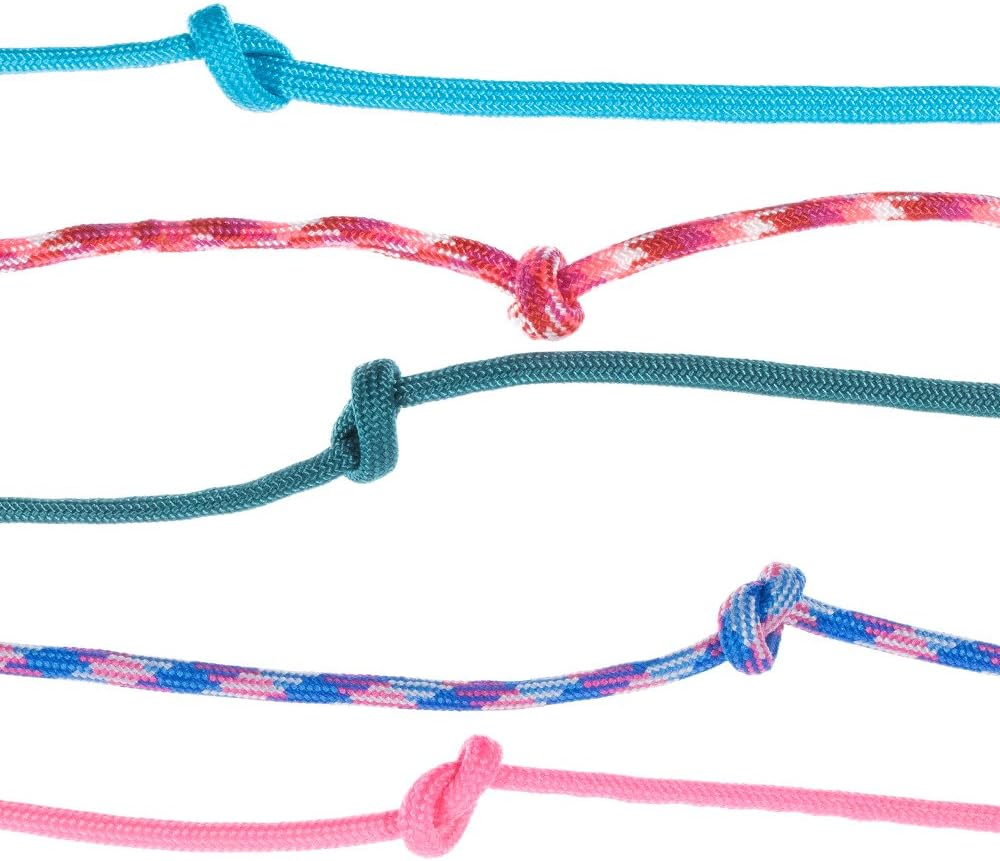 Zesty 550Lb Survival Paracord Random Combo Crafting Kit by West Coast Paracord - 10 Colors of 500Lb Cord and 10 Buckles - Type III Paracord - Make 10 Paracord Bracelets - Great Gift (Zesty, 50 Feet)