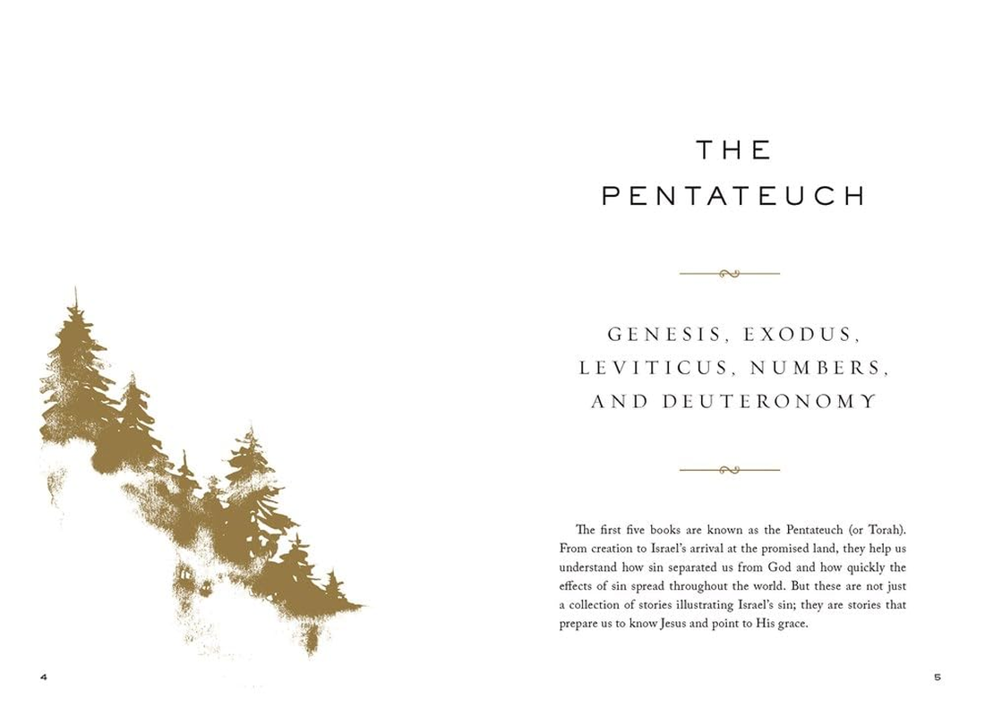 The Whole Story: a 52-Week Devotional Journey through Every Book of the Bible