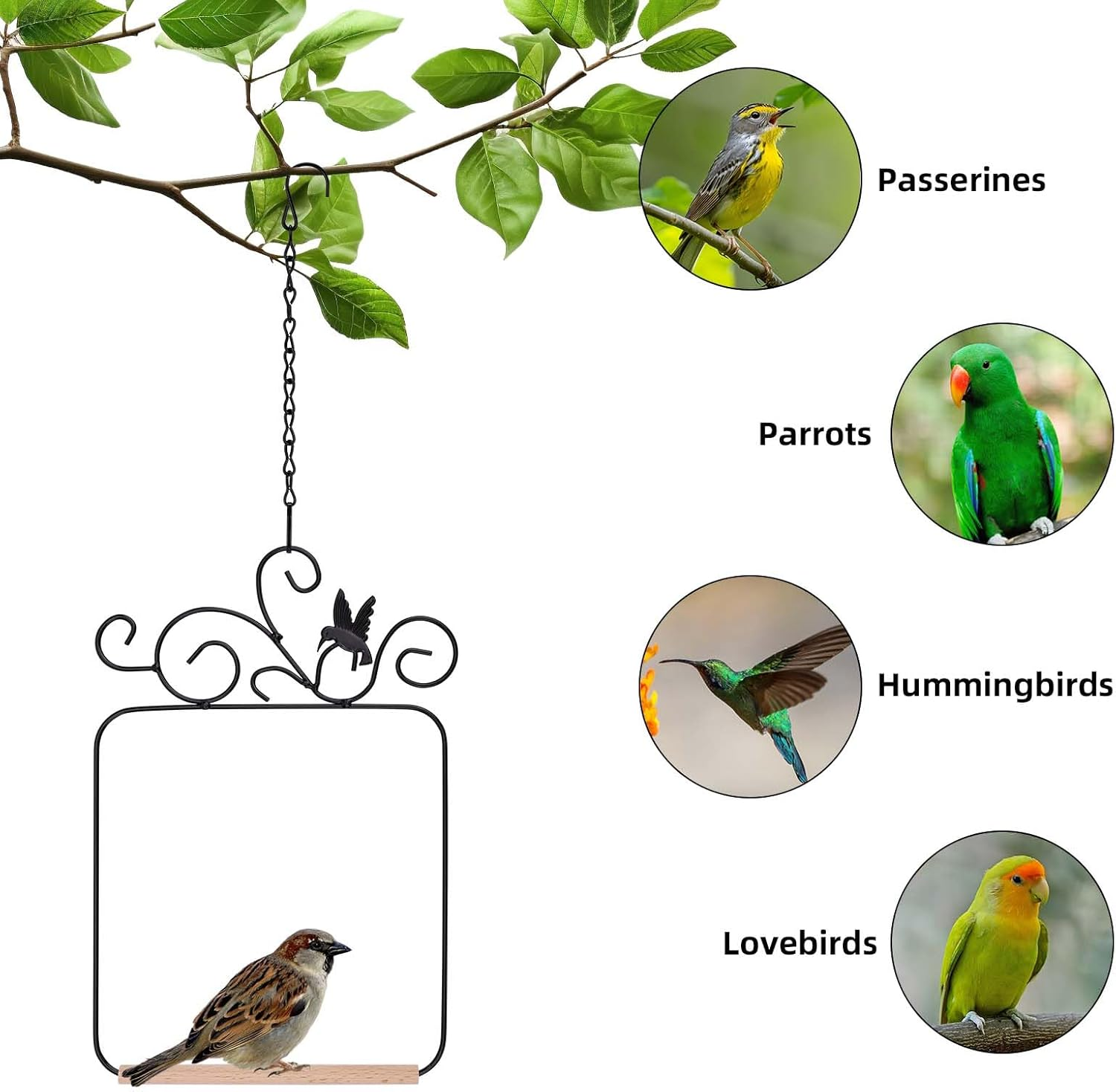 2PK Hummingbird Swings and Perches, Metal Frame Bird Swing with Wooden Dowels and Hanging Chains Bird Cage Accessories for Garden Patio Window Trunk Lawn Tree Branch Decoration (Black) image number 5