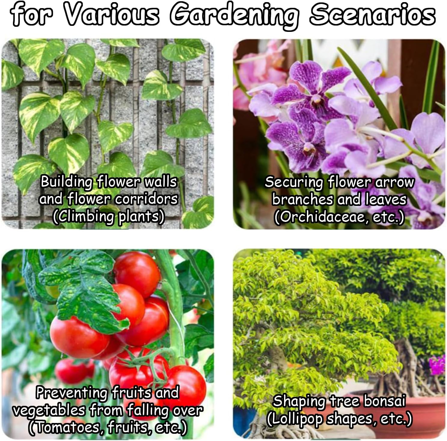 Taoluwin 100M Garden Plant Ties, Twist Ties with Built-In Cutter, Reusable Wire Ties for Plants, Garden Wire Supports, Vine & Shrub Ties, Home Cable Organizer image number 5