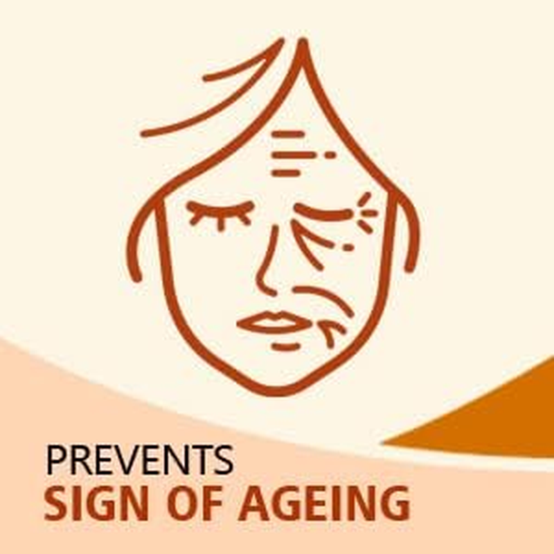 Sunny anti Aging Lotion: Vitamin Blend, Essential Oils, Herbal Extracts, Hydrates, Maintains Skin Tone & Elasticity, Reduces Signs of Aging, Restores Moisture, for Women, 80Ml image number 6