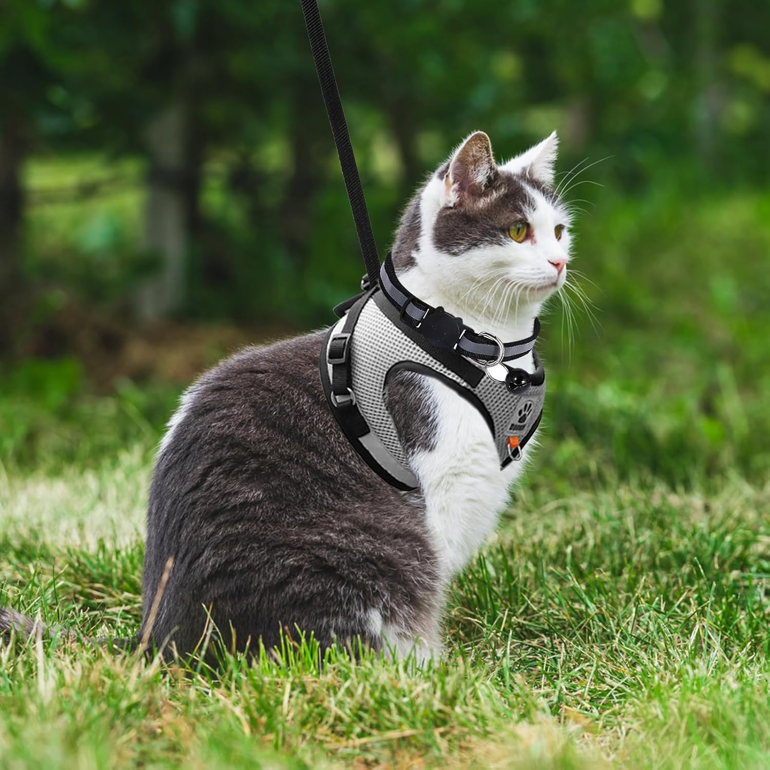TAIXING Adjustable Reflective Cat Harness with Lead, Escape Proof, Grey, Fashion, Cat Harness, 360-Degree Reflective Band, Bell on Collar, Lost Card Hanging Loop, Small image number 2
