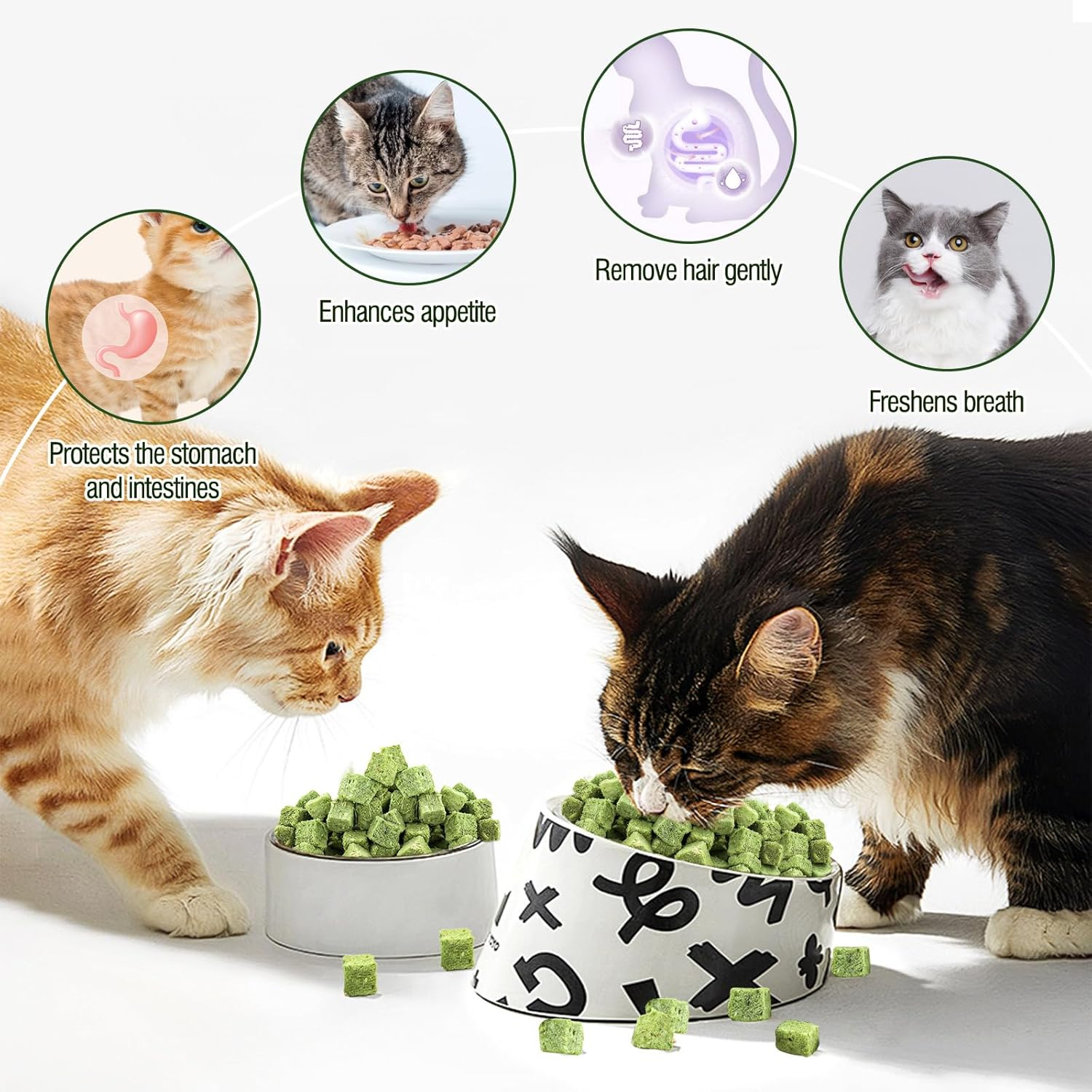 50G Cat Grass Teething Treat, Delicious Cat Grass Teething Snack Edible Cats Chew Toy for Teeth Cleaning and Hairball Removal in Cats image number 1