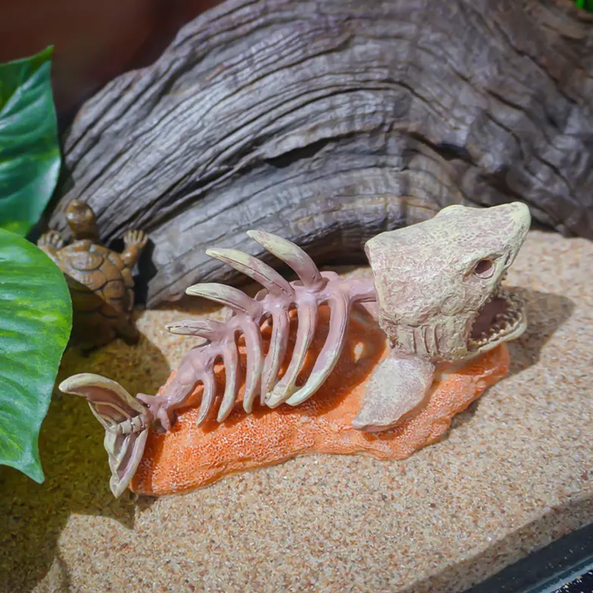 AIMALL Simulation Dinosaur Skull Resin Ornament for Aquarium Fish Tank 3D Rockery Escape Cave Aquatic Landscape Decor Beige Fossil Skull 6.68X3.14X3.14In