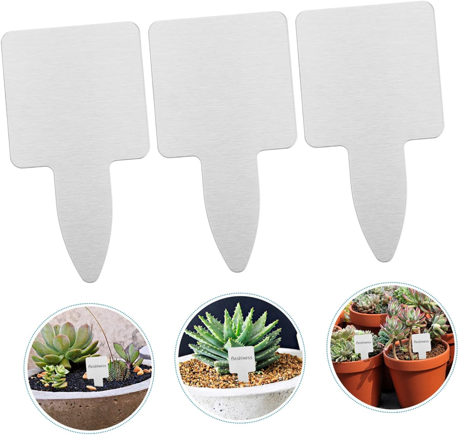 Sosoport 50Pcs Stainless Steel Succulent Labels for Plant Tags Outdoor Garden Markers Thickened Gardening Tags image number 1