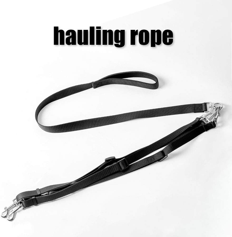 Weave Three Heads One Drag Three Dog Leash Square round Rope Pet Traction Belt Dog Chain Strong Safety Dog Lead Leashes (Black, One Size) image number 1