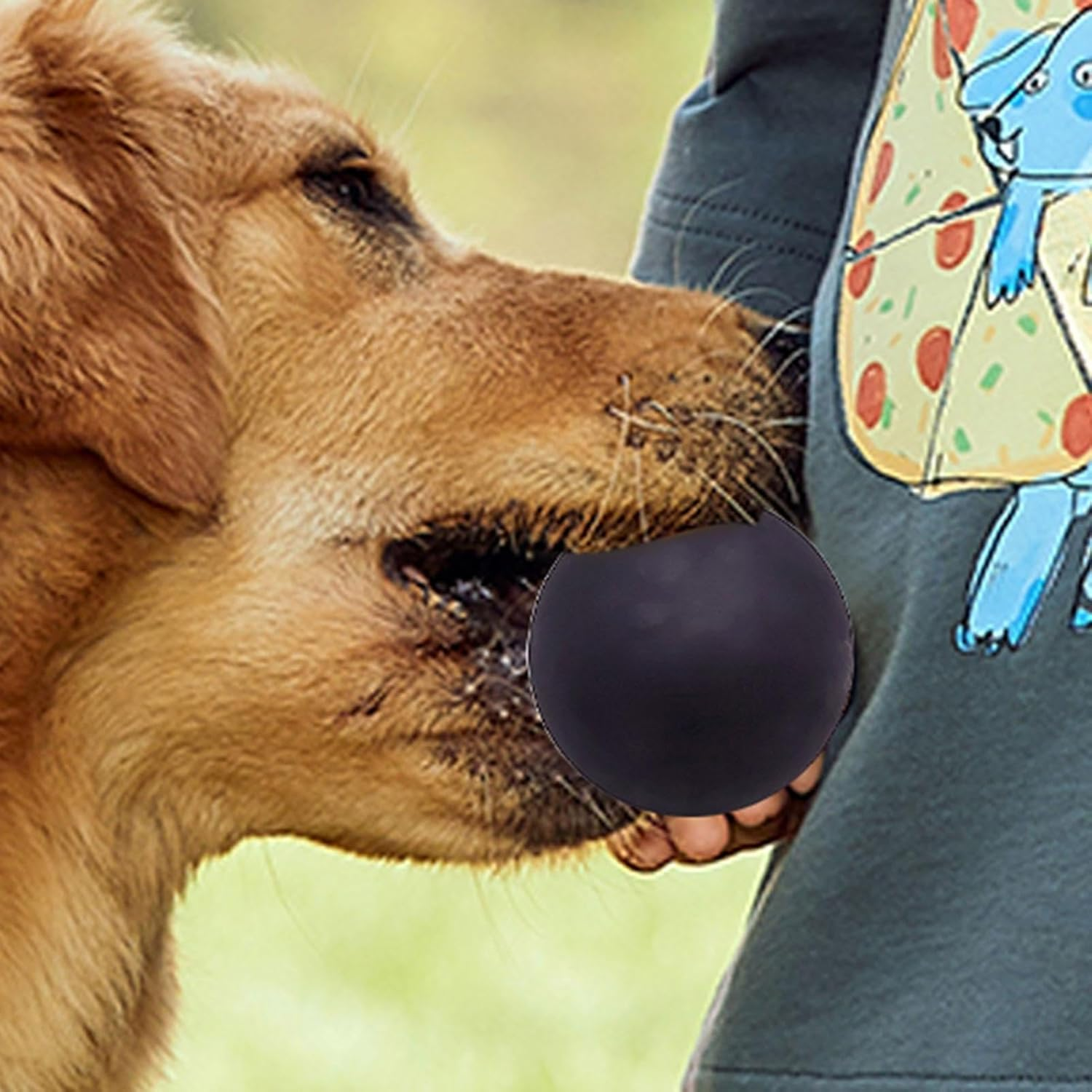 Squash Balls - 4X Small Rubber Squash Ball | Training Squash Ball | Rubber Hollow Balls | Dog Balls | Outdoor Sports Rubber Hollow Ball | High Elasticity Competition Squash Ball | Squash Ball Beginner - Black image number 1