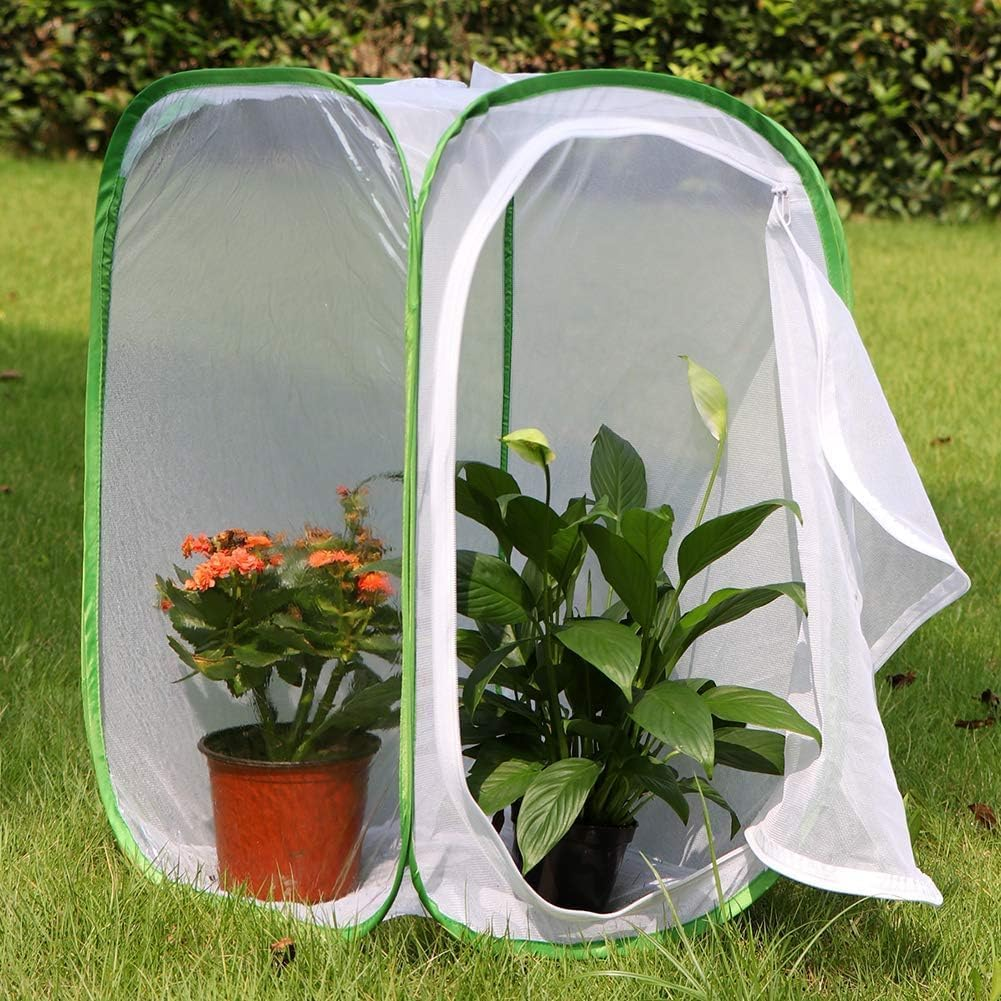 Professional Butterfly Habitat Insect Cage 15.7 X 15.7 X 23.6 Inch Caterpillar Enclosure Pop-Up Polyester Bottom for Easier Clean image number 2
