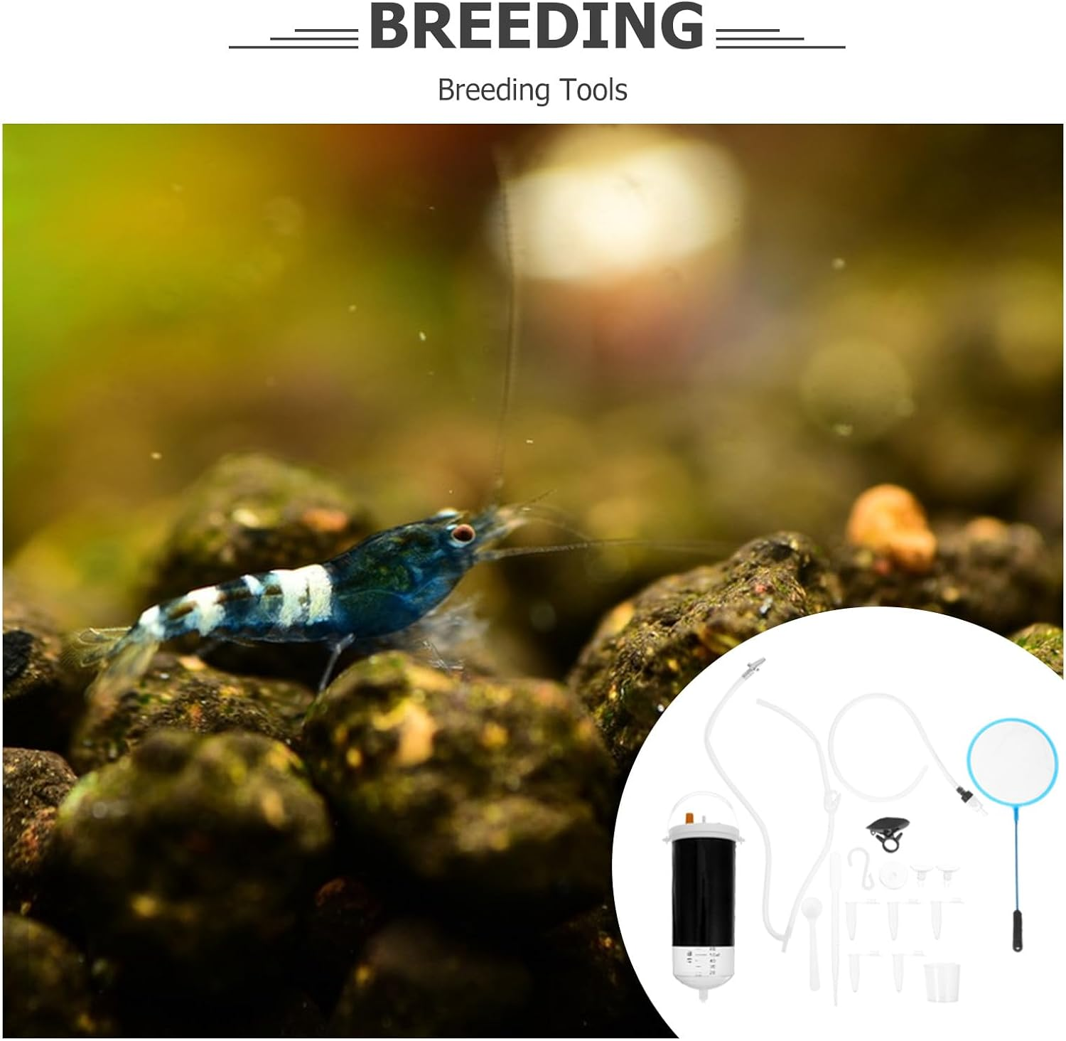 NESTINGHO Brine Shrimp Incubator Plastic Hatchery Box Shrimp Egg Breeding Tank Hatch Tool for Aquarium Fish Hatching and Aquatic Pet Breeding image number 5