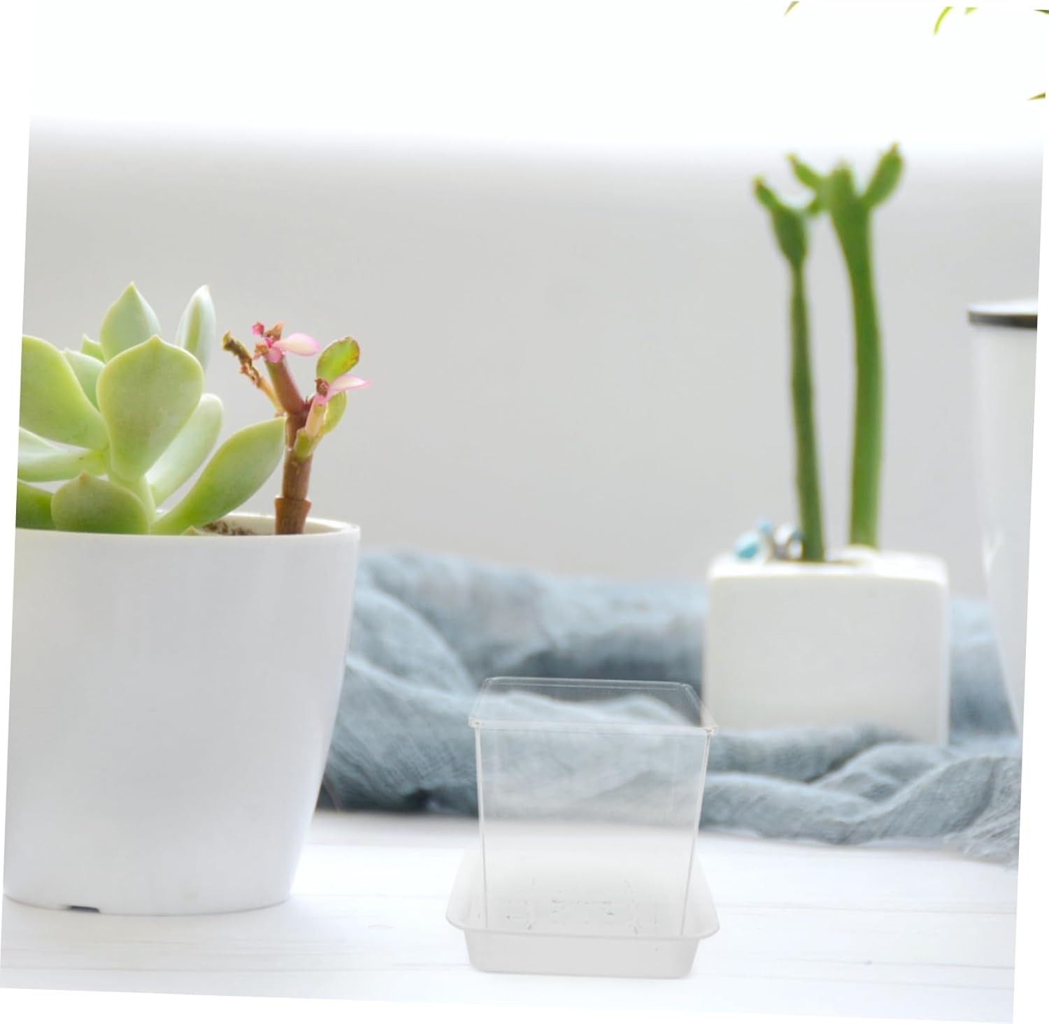 HONMEET Educational Boys and Girls Planters Small Flower Pot Drainage Hydroponic Design Plant Propagation Jars for Indoor Gardening Nursery Pot Saucer