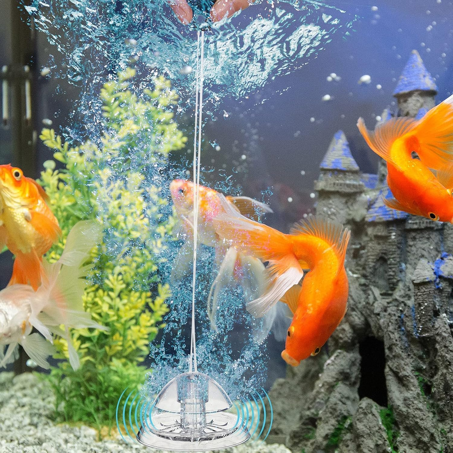 Liyquint 2Pcs Aquarium Snail Trap, Plastic Transparent Snail Catcher for Fish Tank,Trap for Tiny Snails, Use for Freshwater Aquariums (Transparent) image number 4