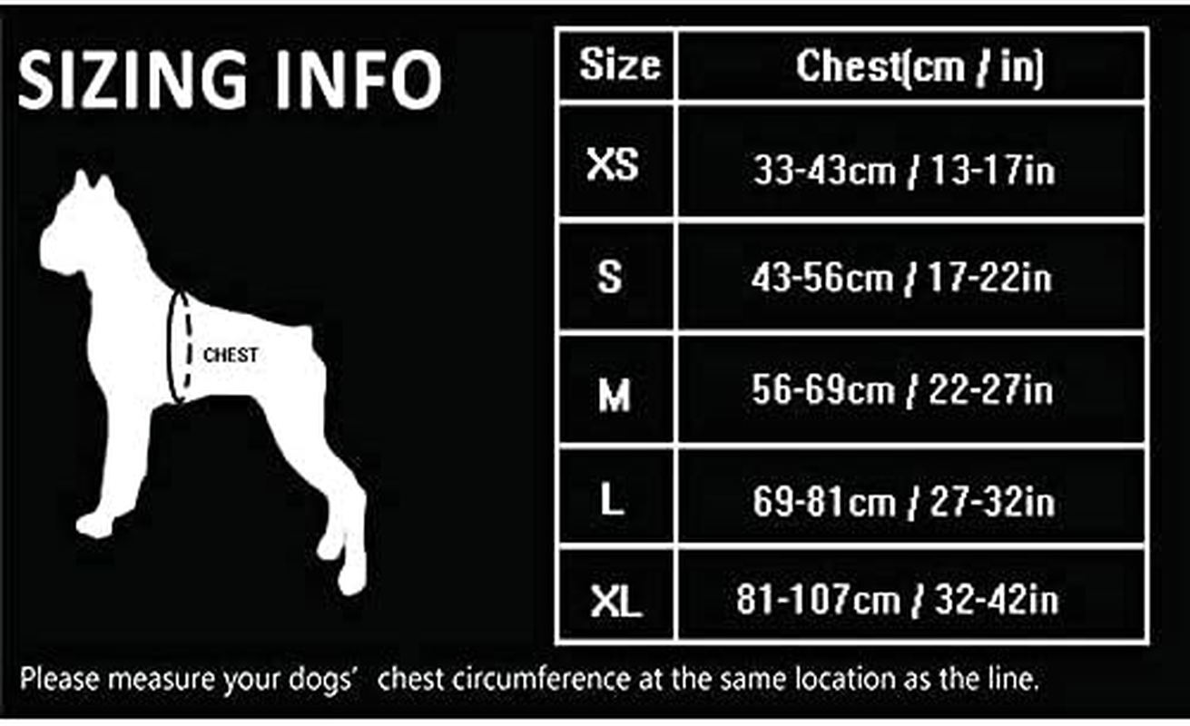 WINHYEPET Truelove Dog Harness No-Pull Reflective Adjustable Pet Harness with 2 Lead Clips, Easy Control Handle for Small, Medium and Large Dogs, TLH5651 image number 3