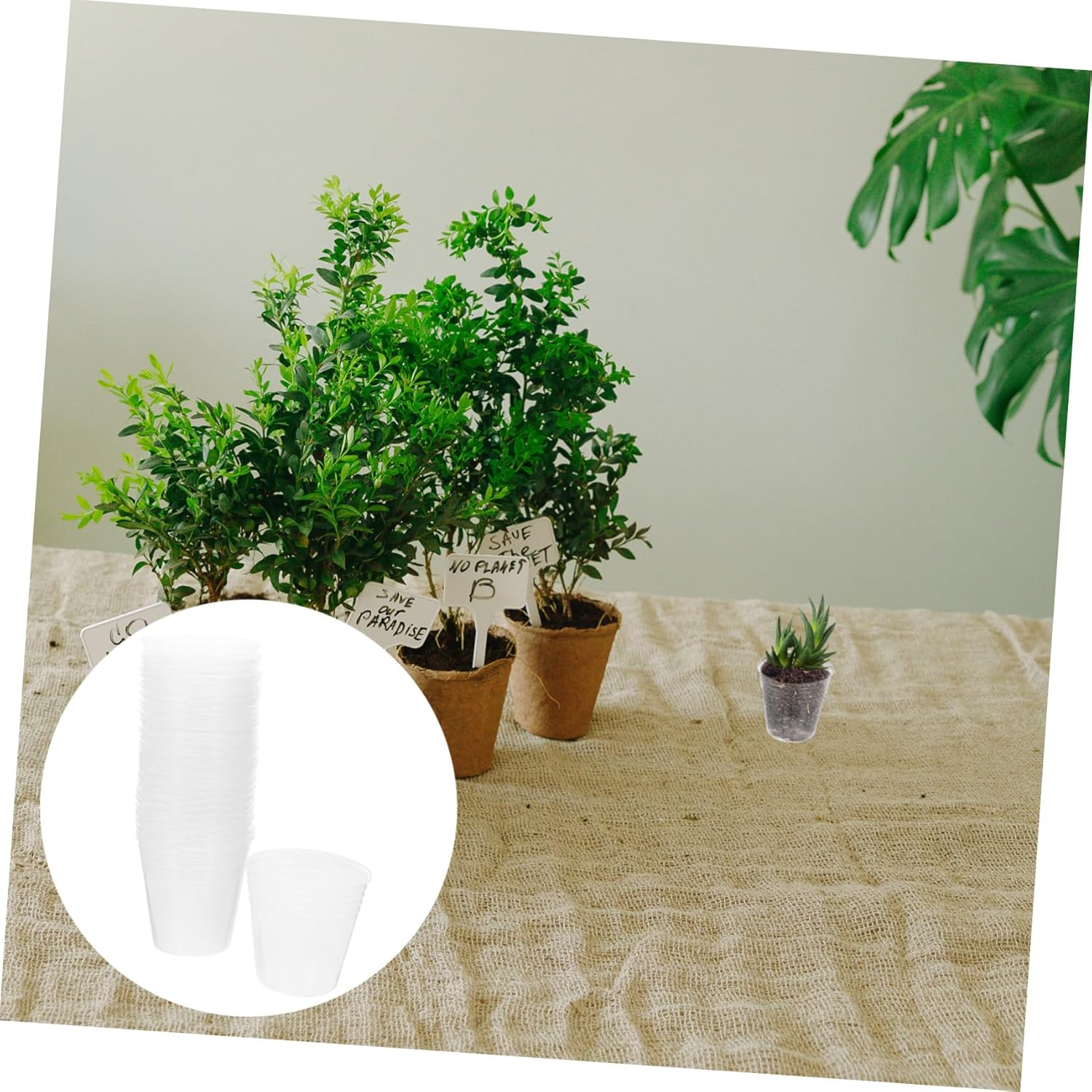 BESPORTBLE 200Pcs Plastic Plants Nursery Pots for Succulent Plants for Indoor Gardening Small Flower Pots Drainage