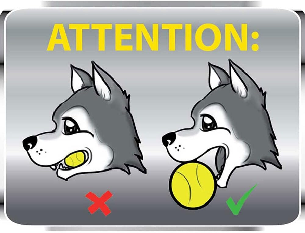 Aussie Dog Products 24Cm Enduro Interactive Hard Ball Toy Pet Outdor Red L image number 3