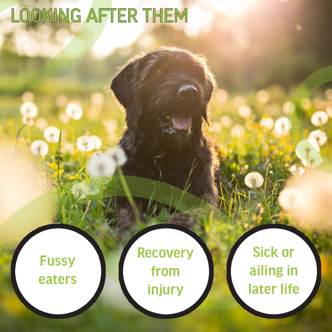 Pet Beef Bone Broth Powder - Protein, Amino Acid Profile. Improve Gut, Joint and Bone Health. Helps Maintain Muscle and Immunity, 100 Grams image number 5