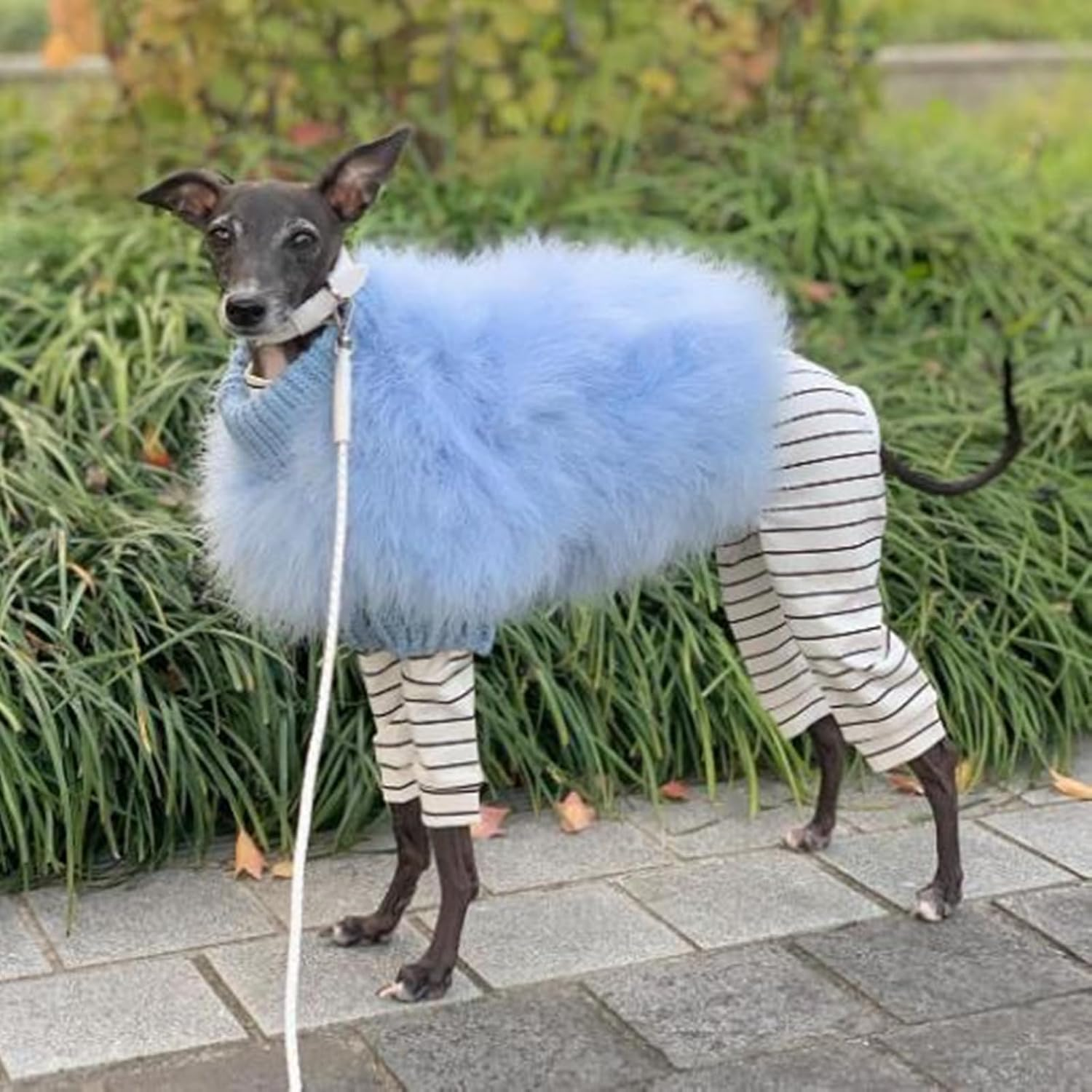 Luxury Dog Sweater Fashion Winter Warm Dog Sweater Pet Party Pullover with Feather Puppy Coat for Small Medium Dogs(Pink,Xl) image number 2