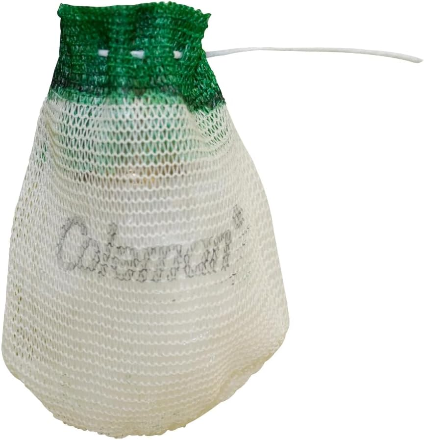 Coleman String Tie Lantern Mantles, 4-Pack of Coleman Lantern Mantles for Fueled Lanterns image number 1