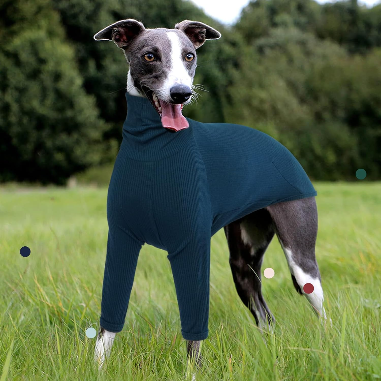 Iecoii Greyhound Sweater, Cozy Italian Greyhound Jumpsuit, Pullover Dog Sweater for Small Dogs, Turtleneck Whippet Onesie Clothes for Spring Fall Outfits, Extra Soft Whippet T Shirts with Sleeves, XS image number 4